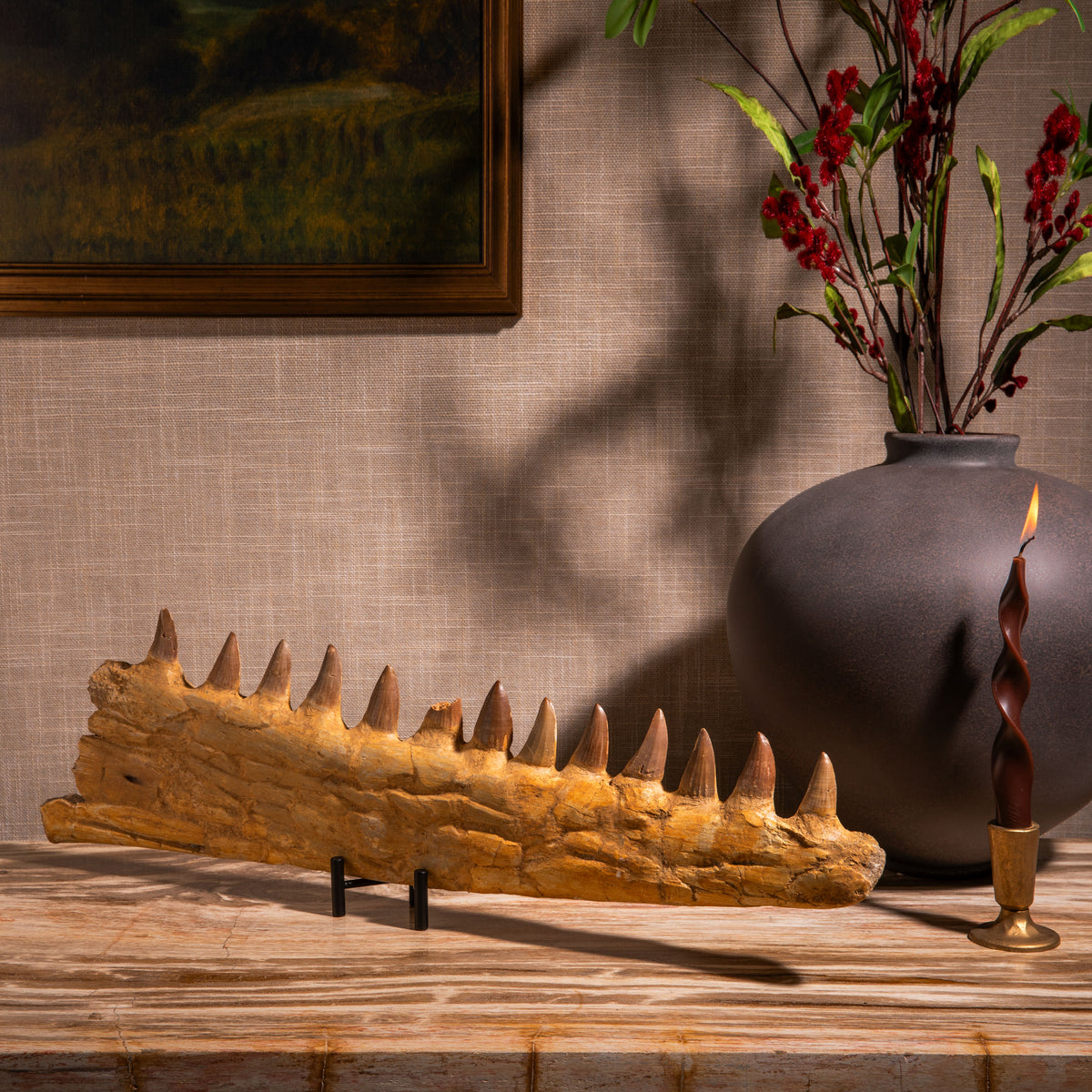 Mosasaurus Jaw Fossil - 19"