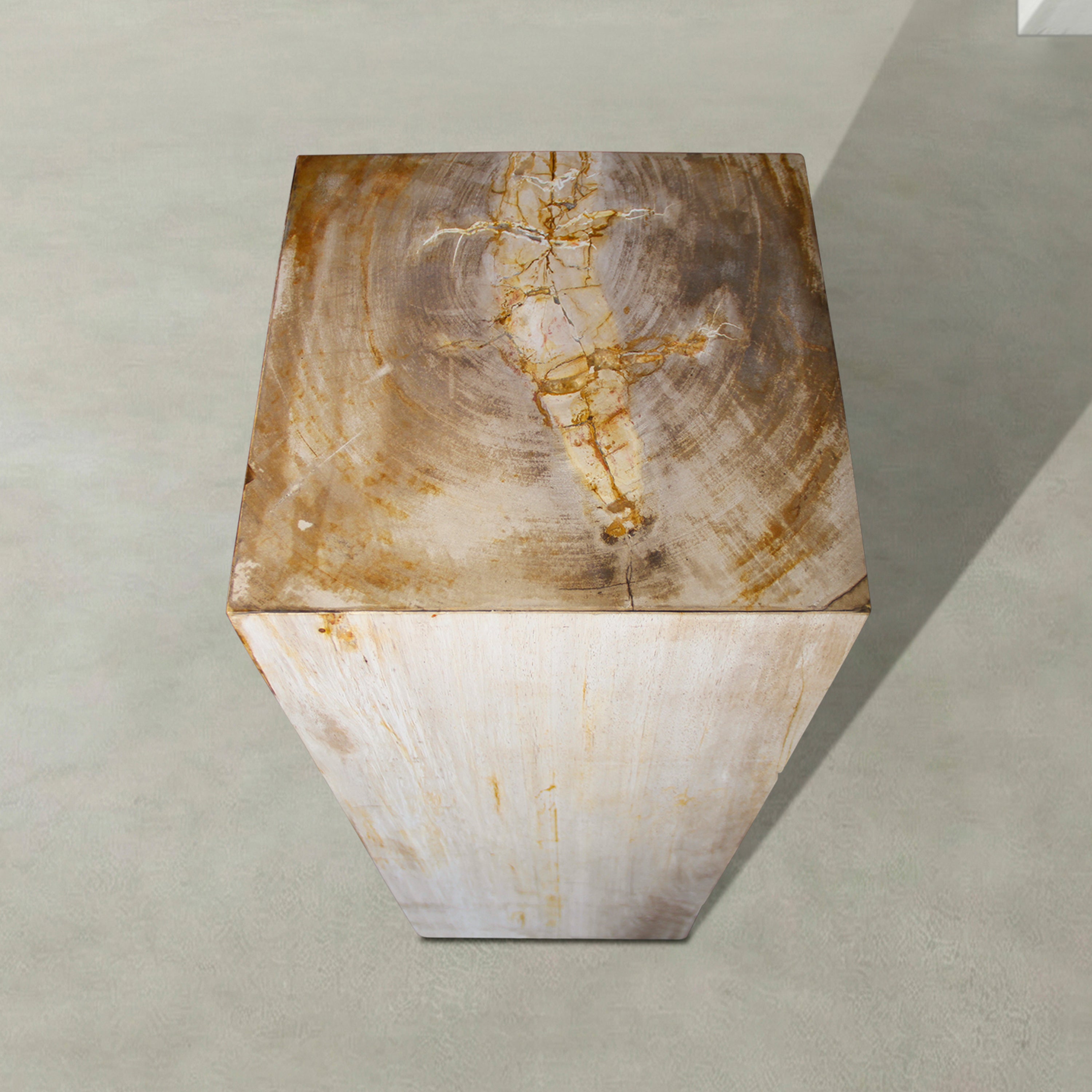 Natural Petrified Wood Hollow Square Pedestal from Indonesia - 39" / 168 lbs