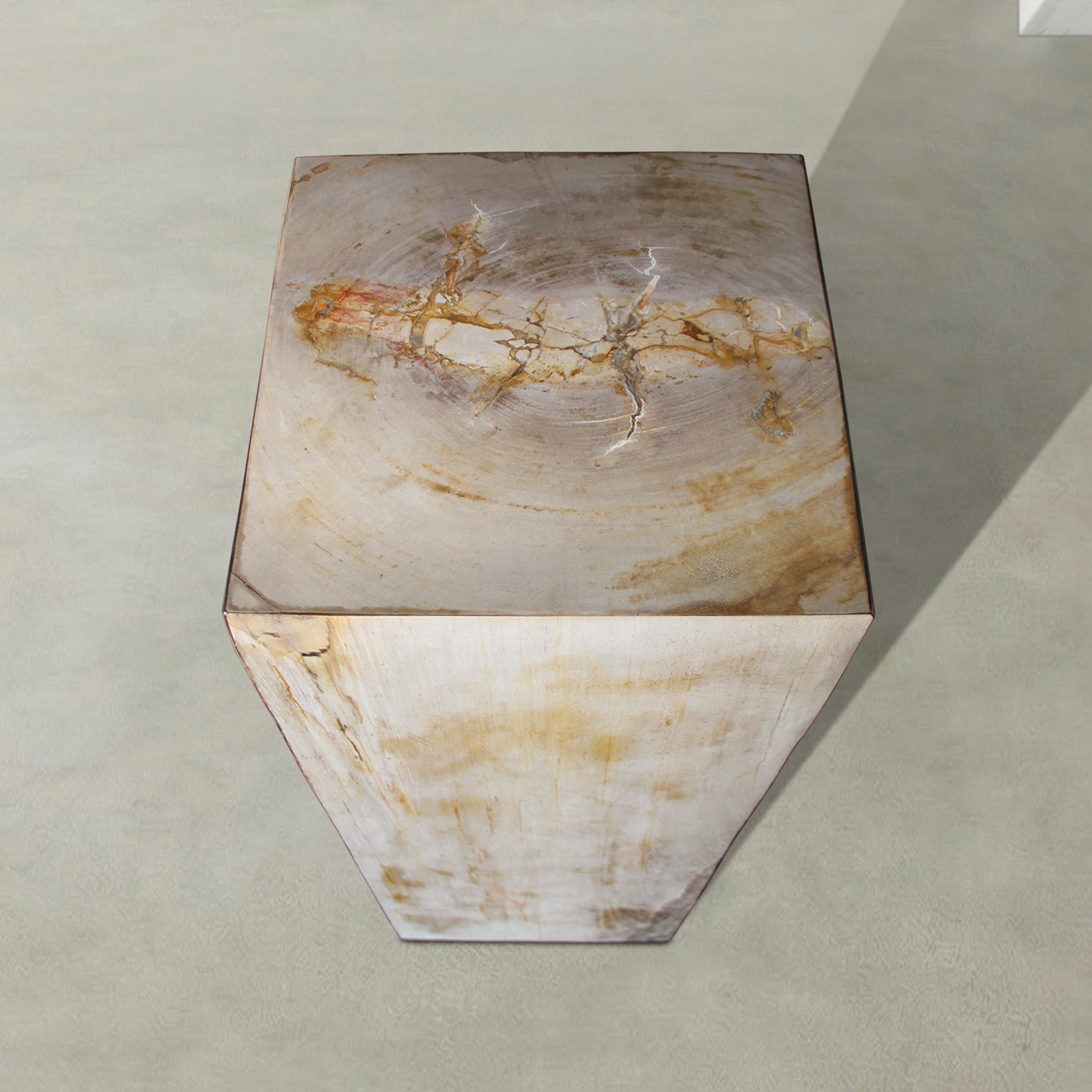Natural Petrified Wood Hollow Square Pedestal from Indonesia - 39" / 168 lbs
