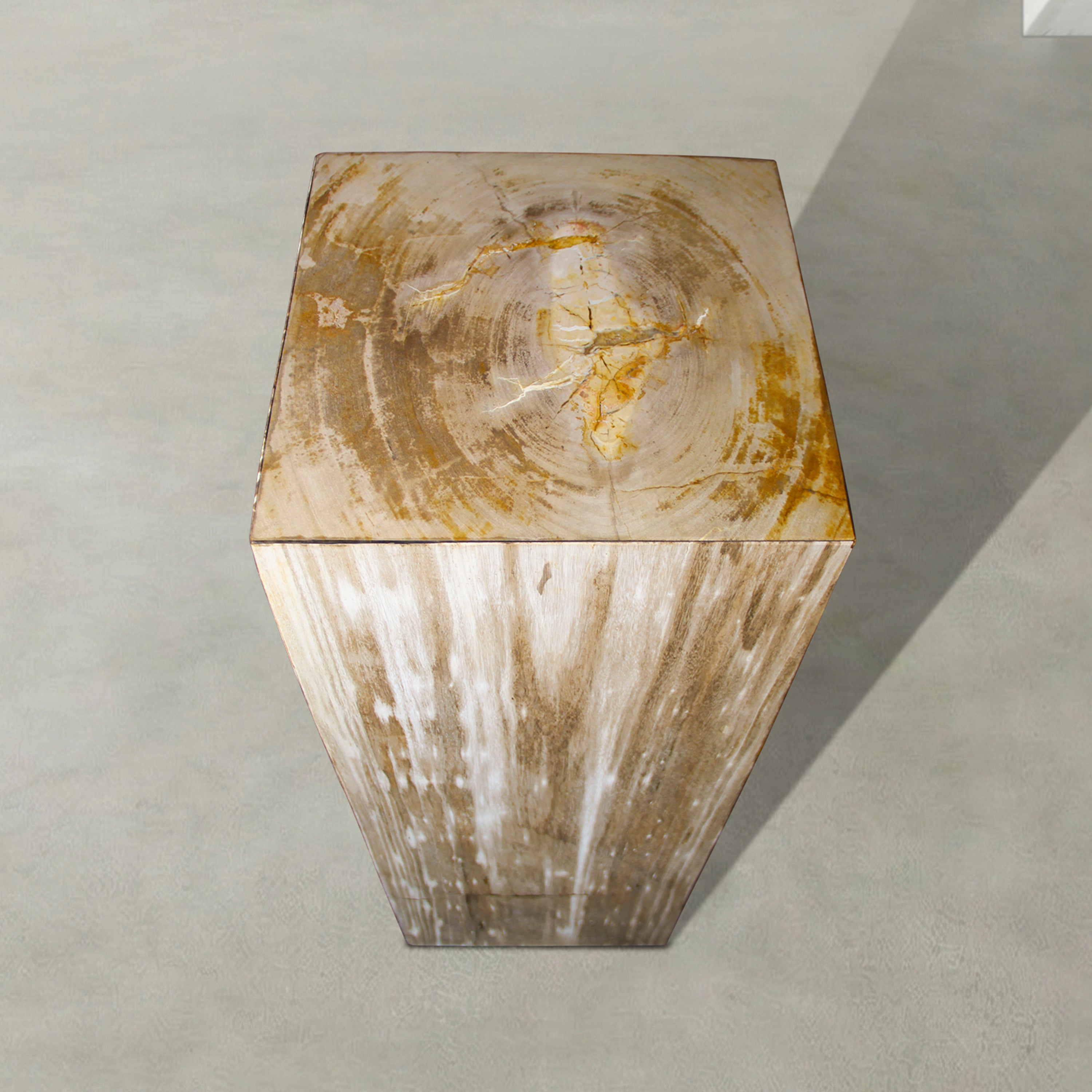 Natural Petrified Wood Hollow Square Pedestal from Indonesia - 39" / 179 lbs