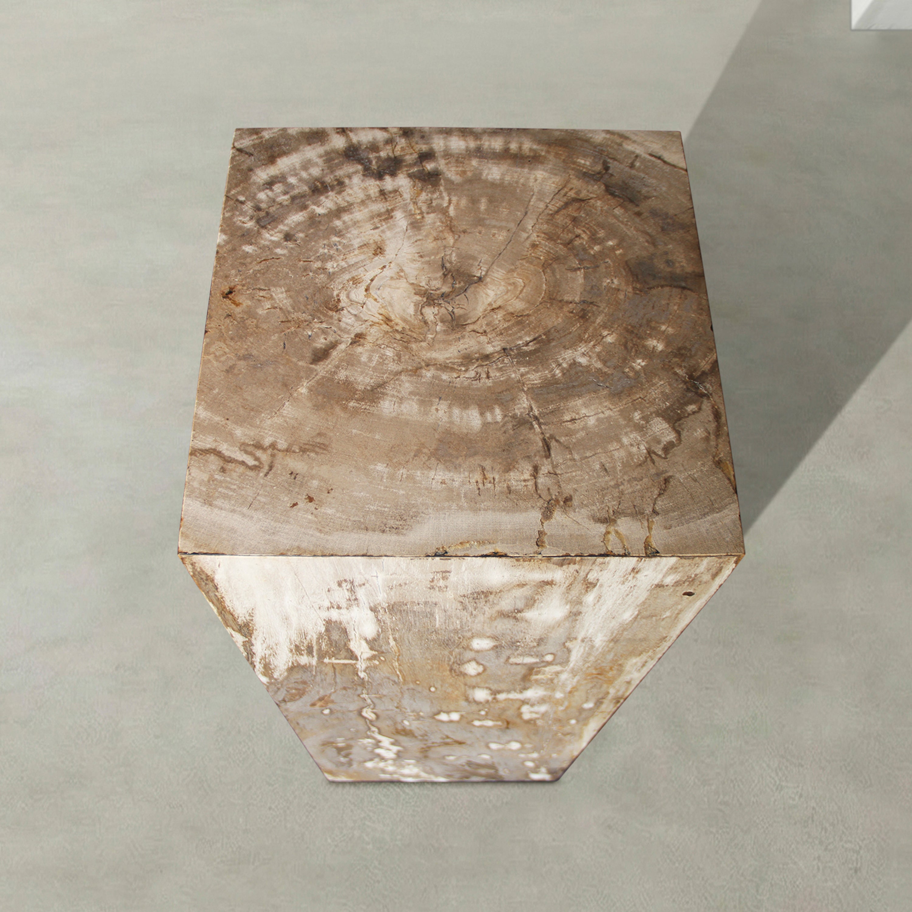 Natural Petrified Wood Hollow Square Pedestal from Indonesia - 39" / 177 lbs