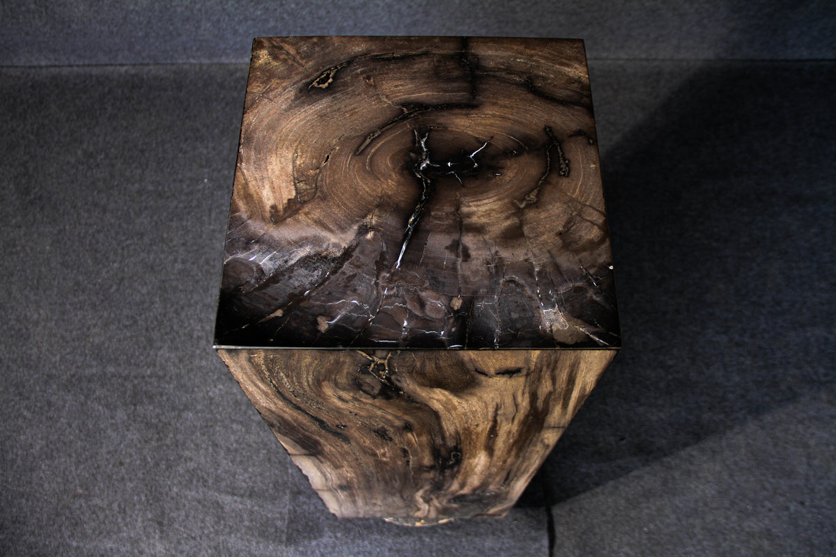 39" Natural Petrified Wood Hollow Square Pedestal from Indonesia