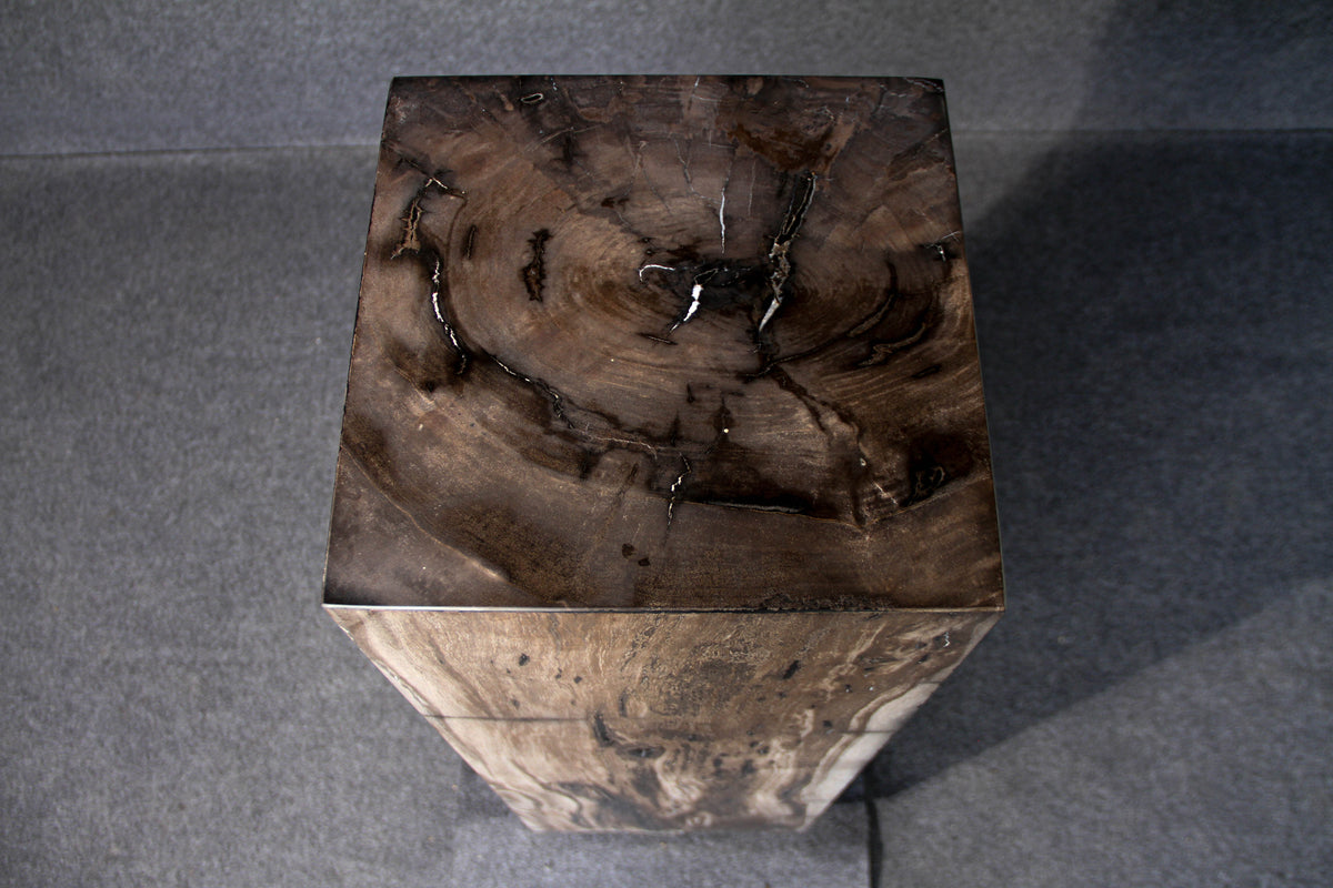 39" Natural Petrified Wood Hollow Square Pedestal from Indonesia
