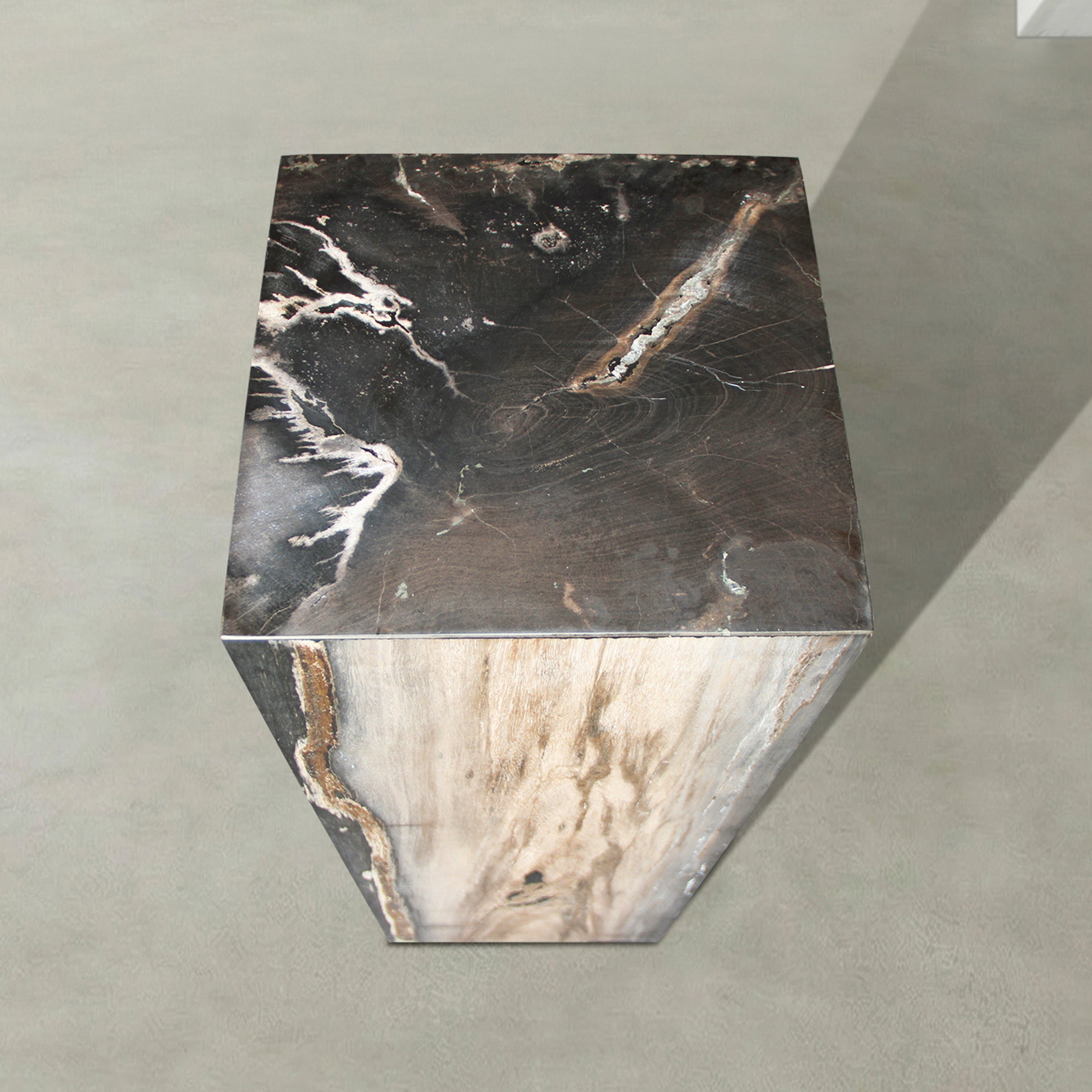 Natural Petrified Wood Hollow Square Pedestal from Indonesia - 39" / 177 lbs