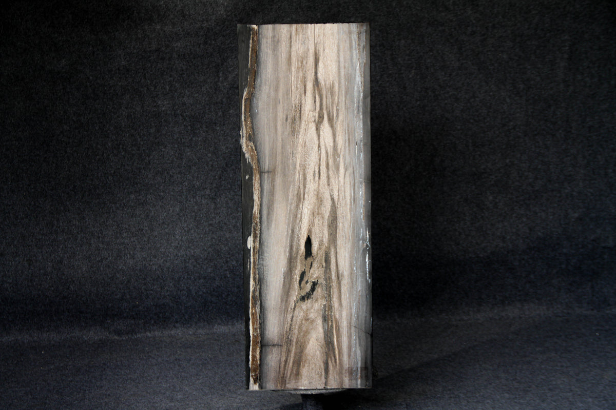 39" Natural Petrified Wood Hollow Square Pedestal from Indonesia