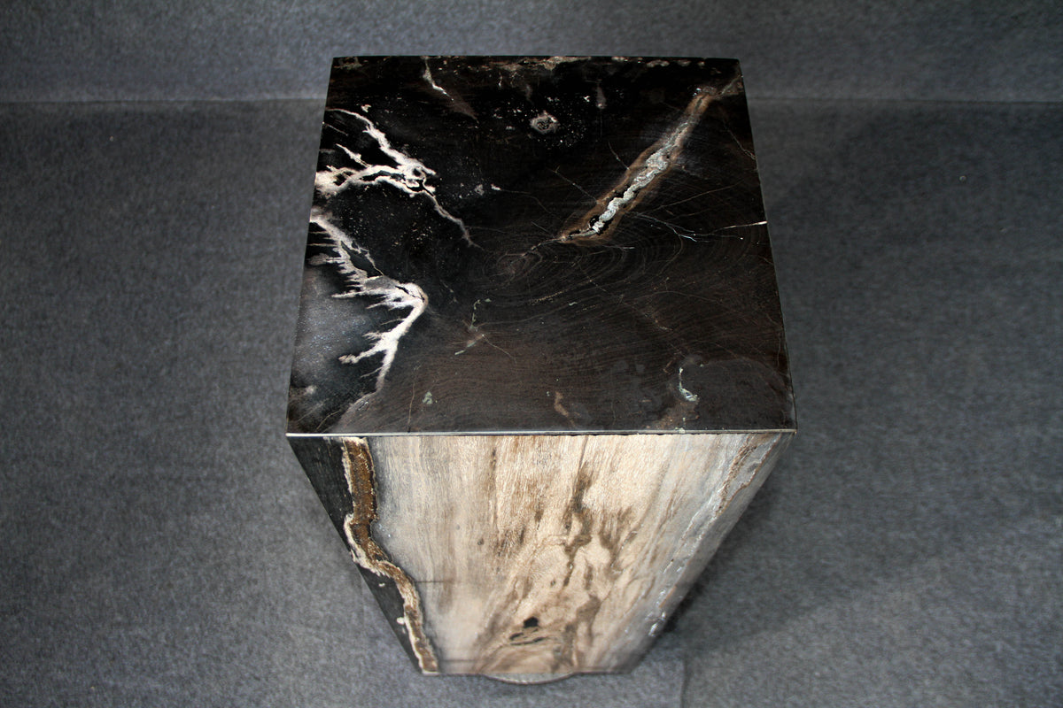 39" Natural Petrified Wood Hollow Square Pedestal from Indonesia