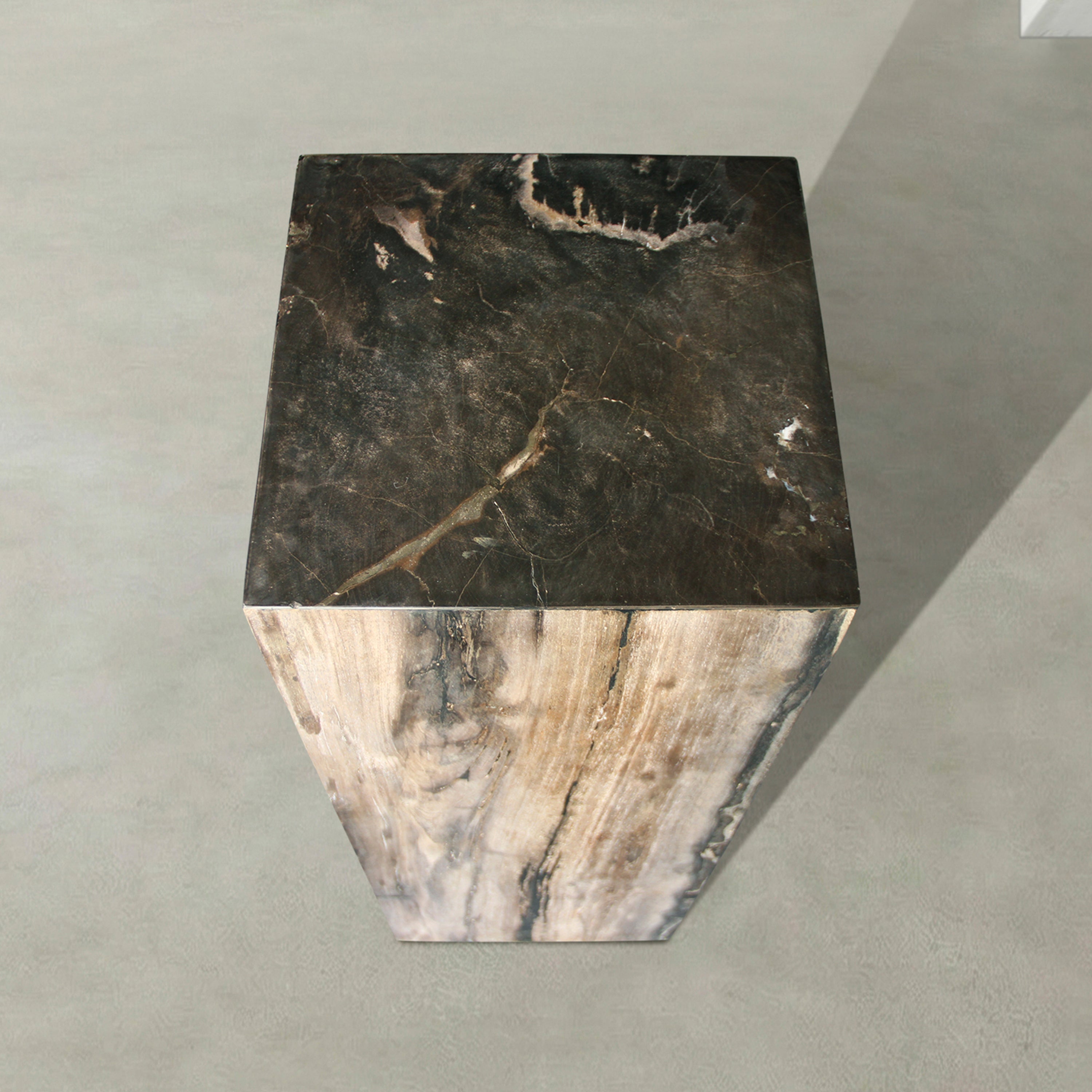 Natural Petrified Wood Hollow Square Pedestal from Indonesia - 39" / 190 lbs