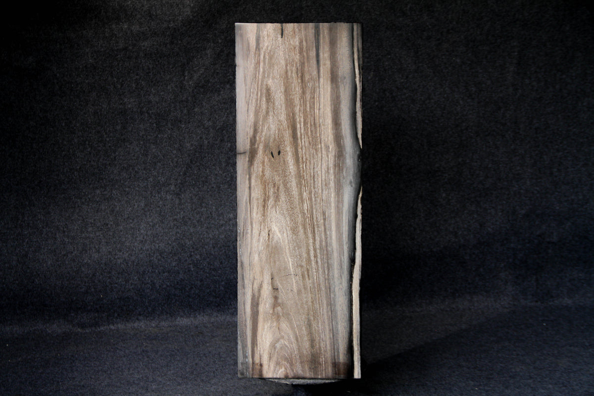 39" Natural Petrified Wood Hollow Square Pedestal from Indonesia