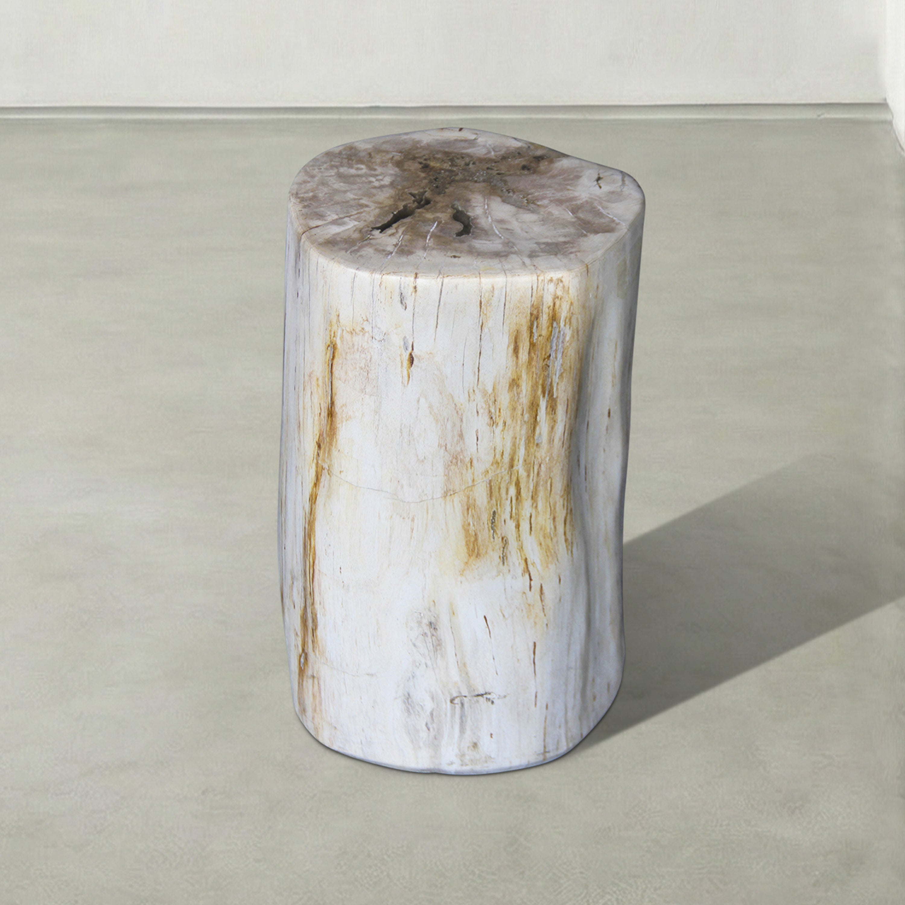 Natural Polished Petrified Wood Stool from Indonesia - 18" / 144 lbs