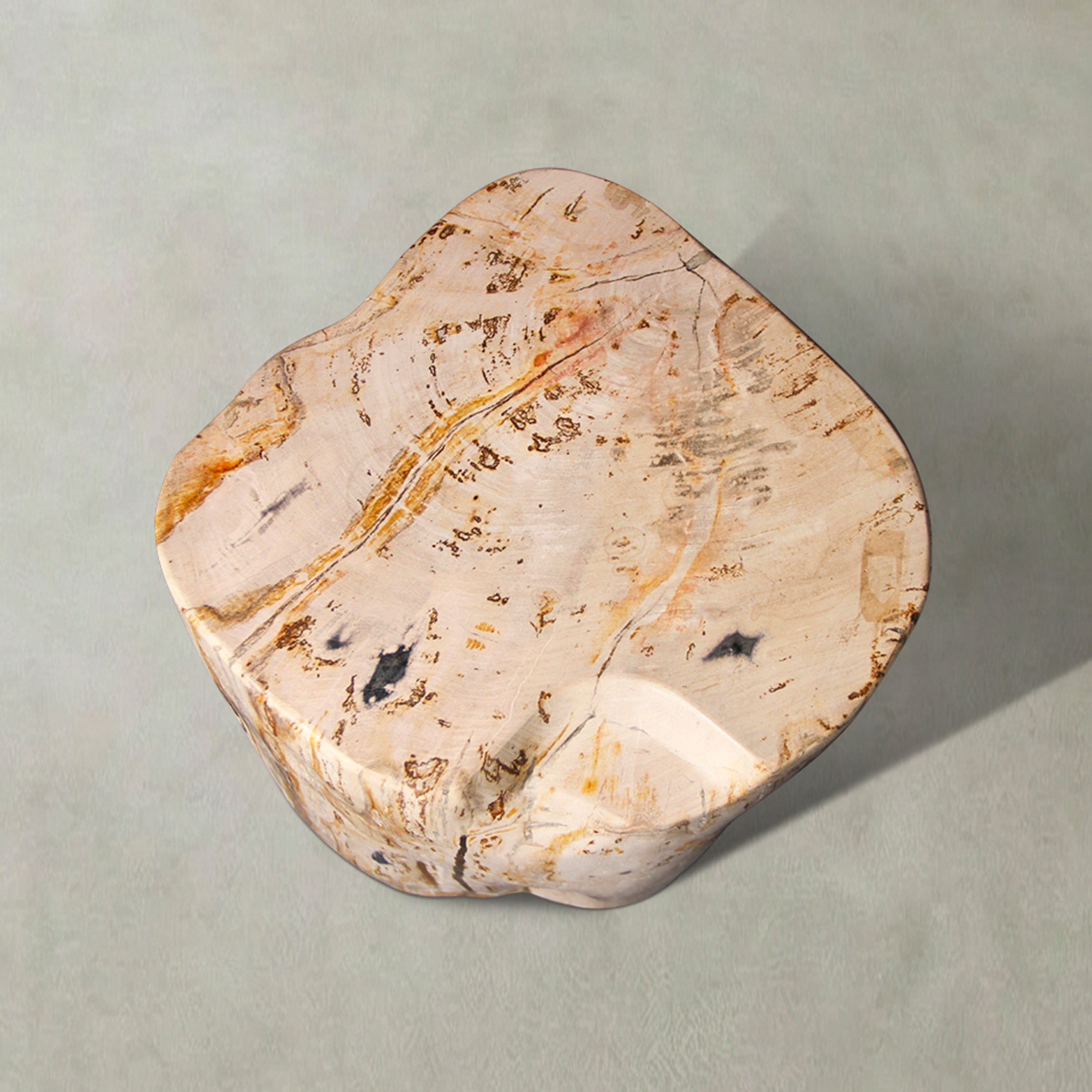 Natural Polished Petrified Wood Stool from Indonesia - 18" / 199 lbs