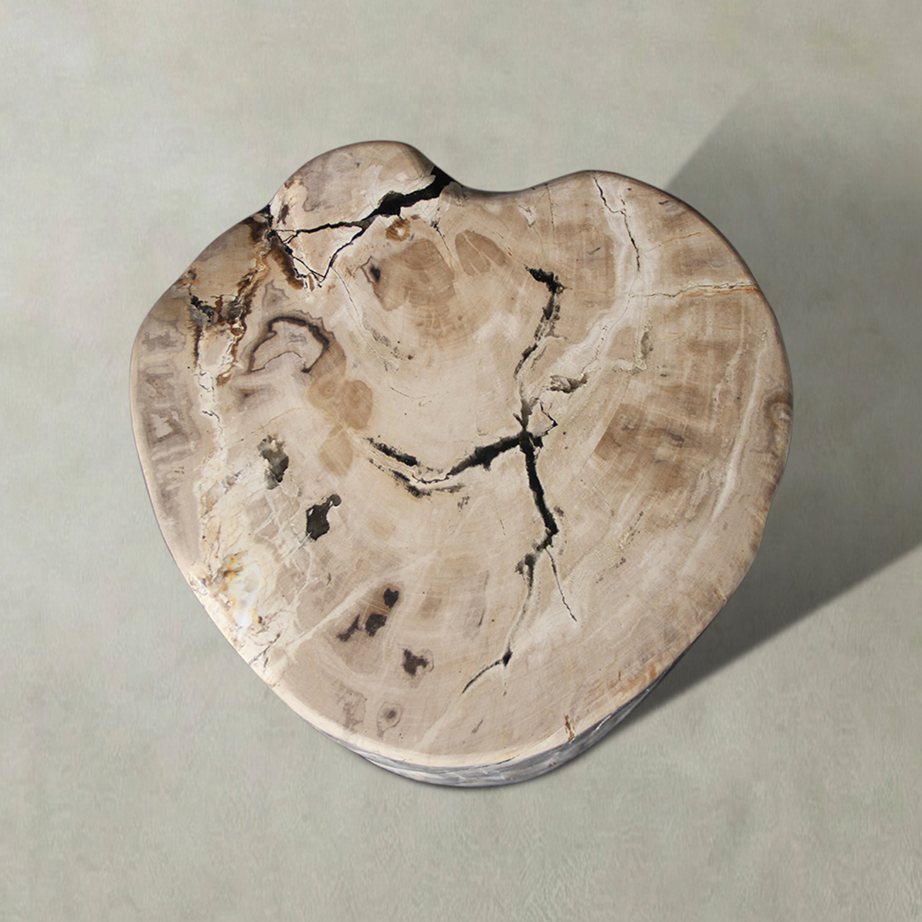 Natural Polished Petrified Wood Stool from Indonesia - 18" / 274 lbs