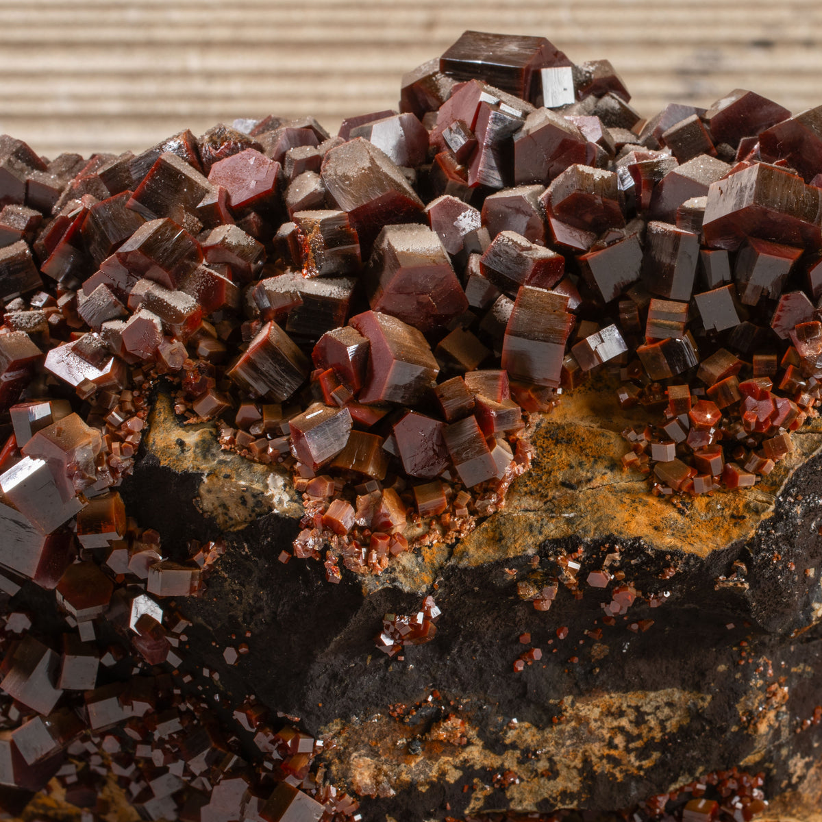 8.5" Natural Vanadinite Cluster