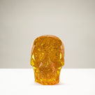 Cultured Amber Skull