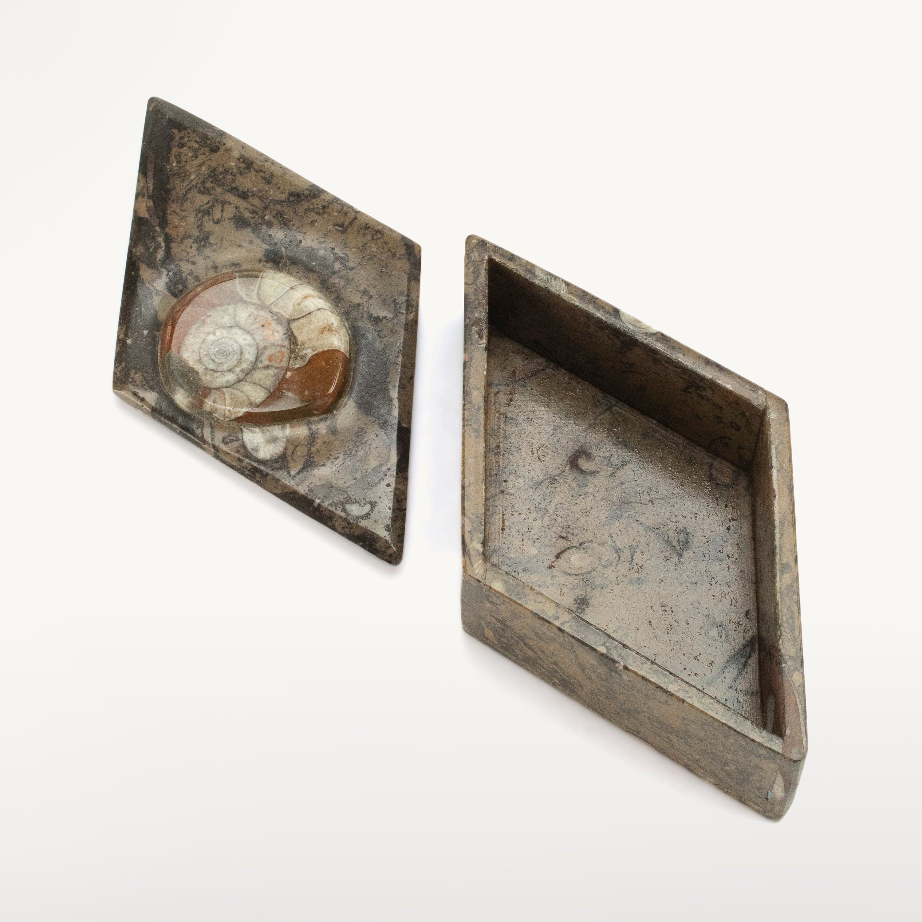 Kalifano Ammonites & Orthoceras Natural Ammonite Vanity Box from Morocco - Diamond Shaped & Brown SVA-AMM-BN2