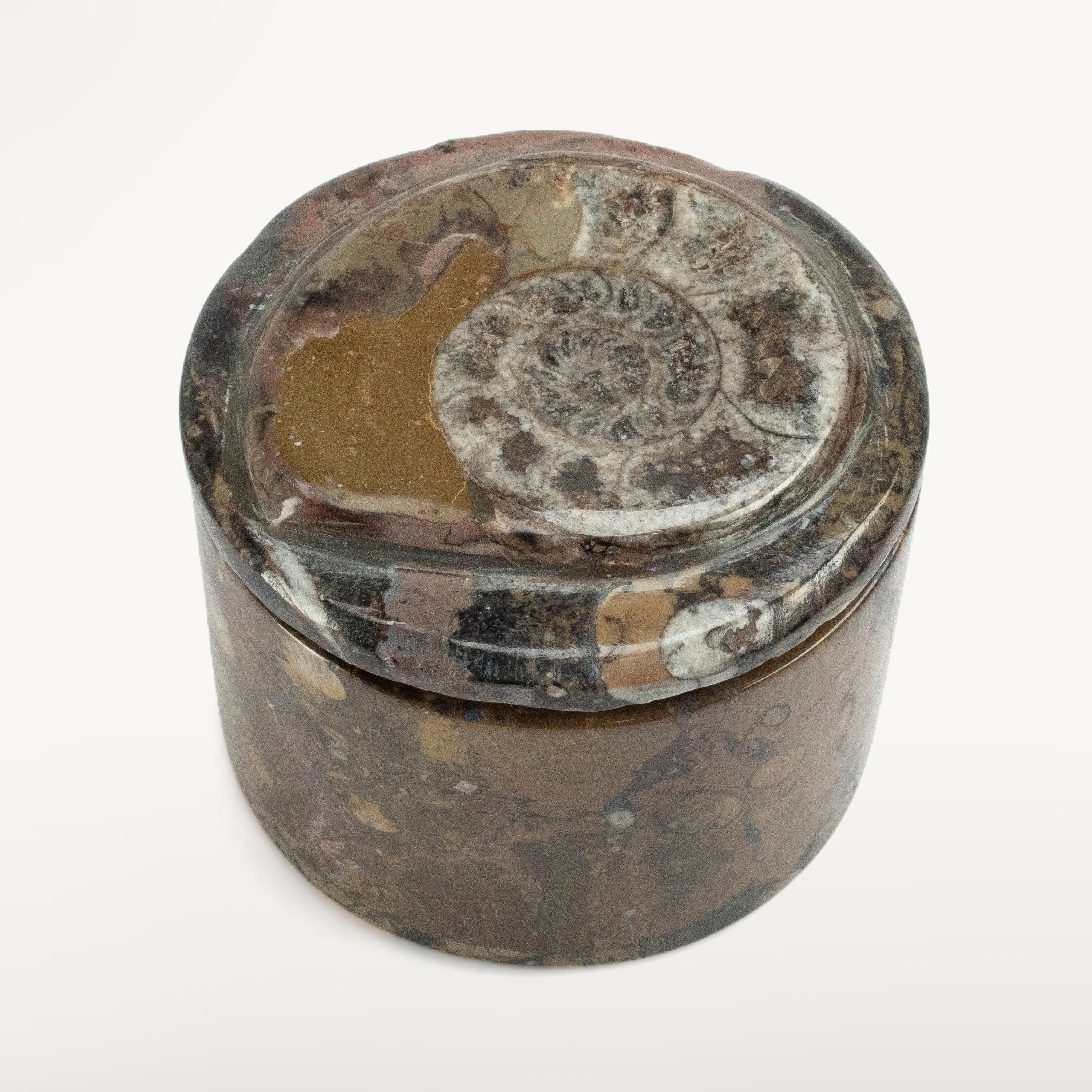 Kalifano Ammonites & Orthoceras Natural Ammonite Vanity Box from Morocco - Round & Brown SVA-AMM-BN3