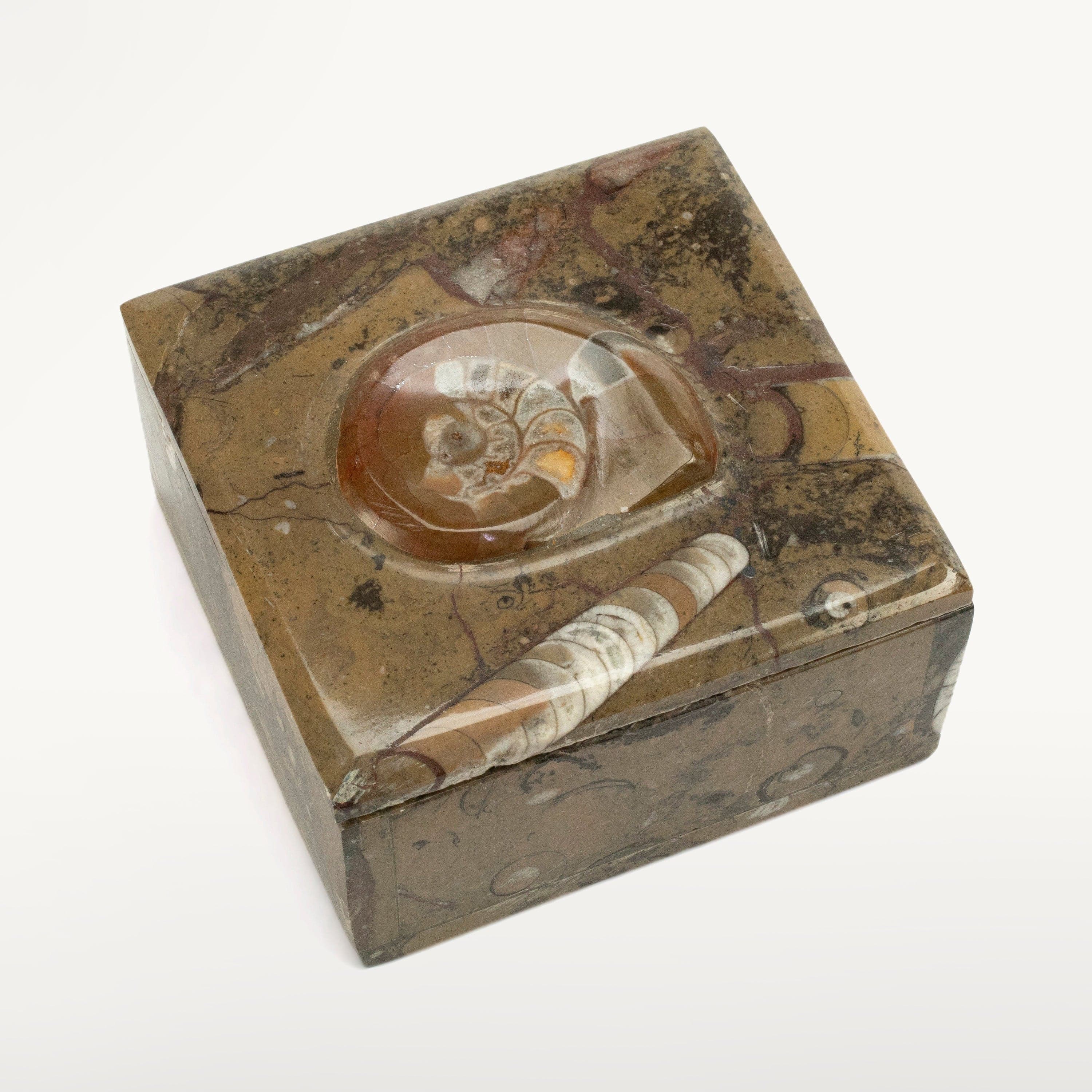 Kalifano Ammonites & Orthoceras Natural Ammonite Vanity Box from Morocco - Square & Brown SVA-AMM-BN1