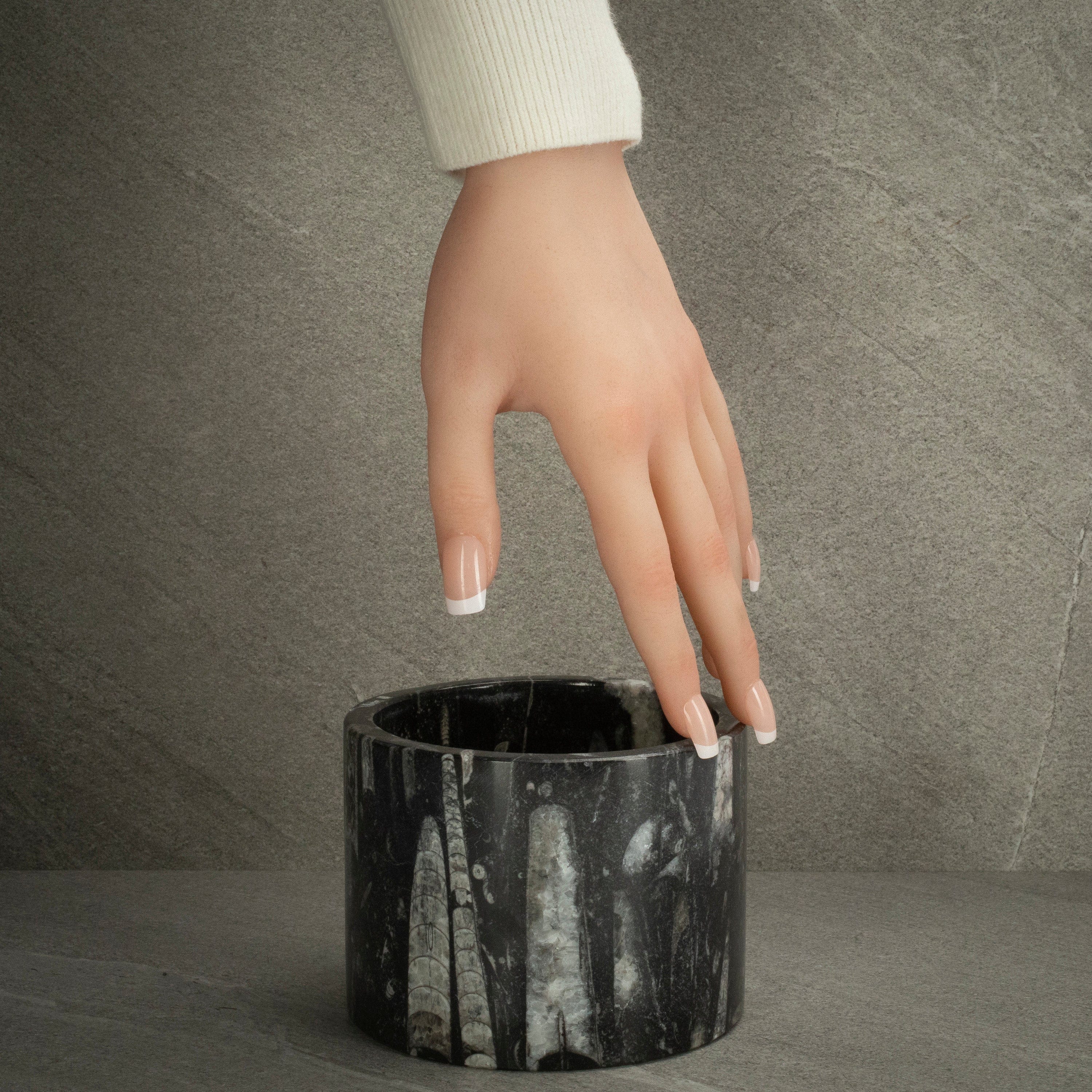 Kalifano Fossils & Minerals Black Orthoceras Cup from Morocco- 4.5" CORO200-BK