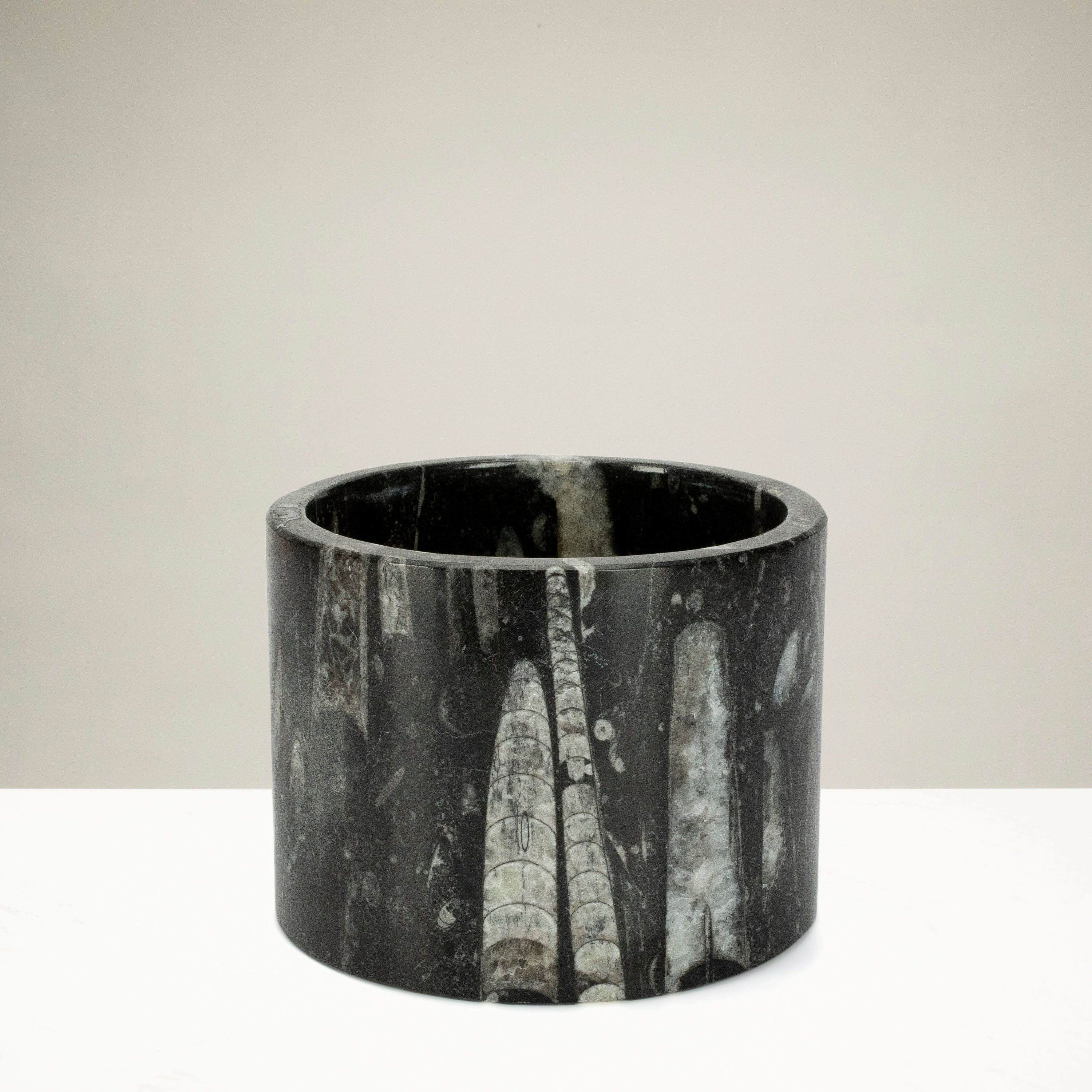 Kalifano Fossils & Minerals Black Orthoceras Cup from Morocco- 4.5" CORO200-BK