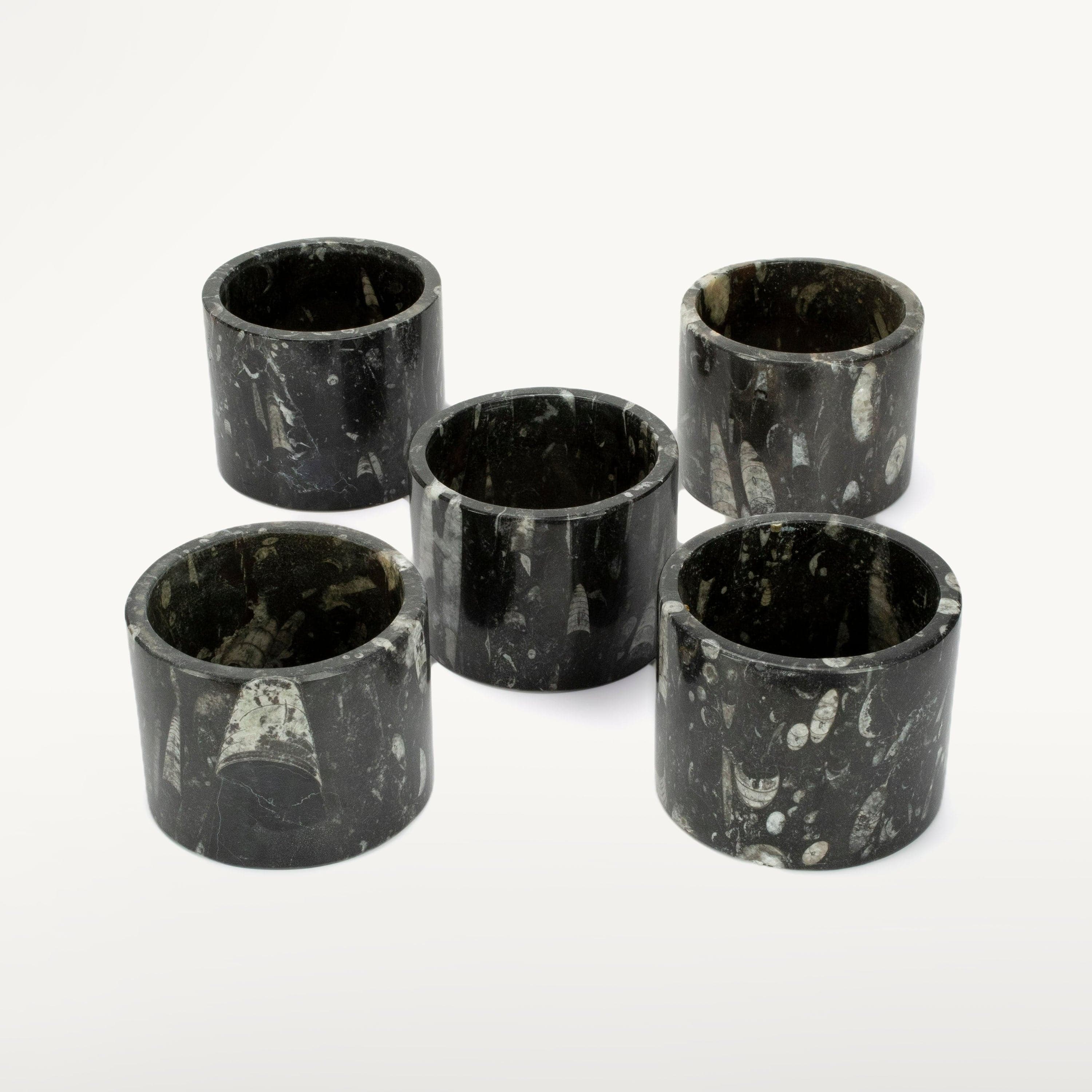 Kalifano Fossils & Minerals Black Orthoceras Cup from Morocco- 4.5" CORO200-BK