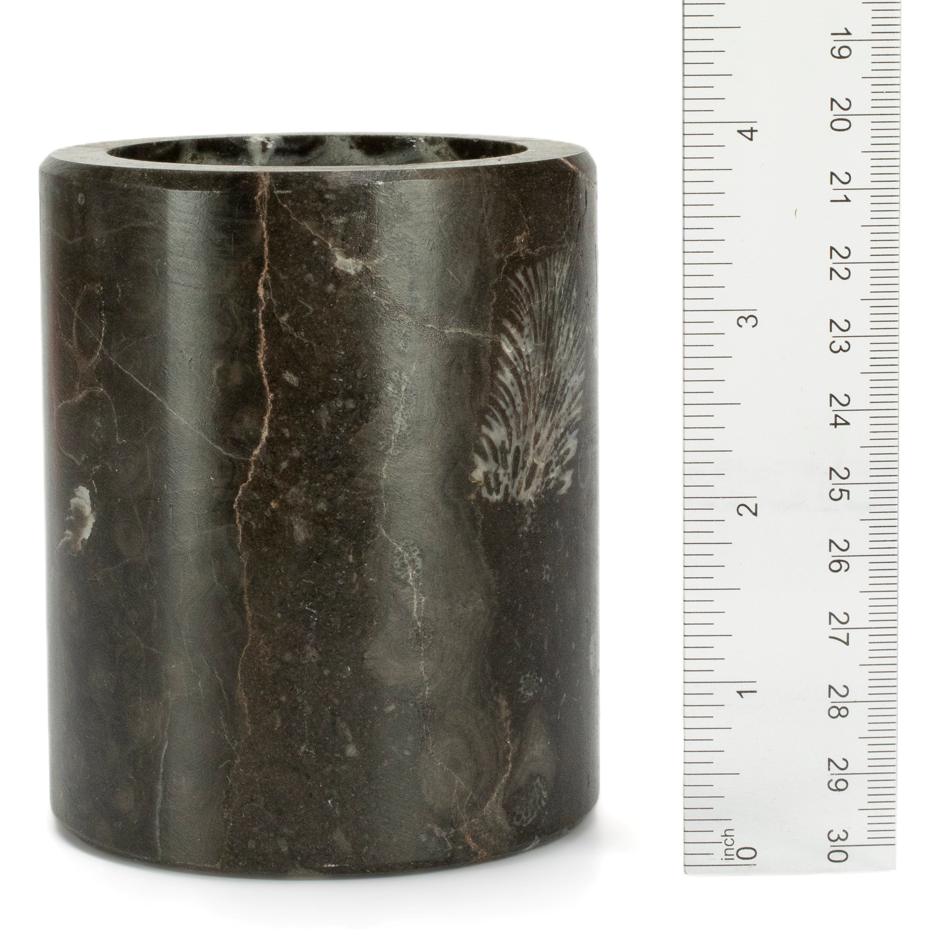 Kalifano Fossils & Minerals Brownish Black Orthoceras Cup from Morocco - 4" CORO120-BNBK