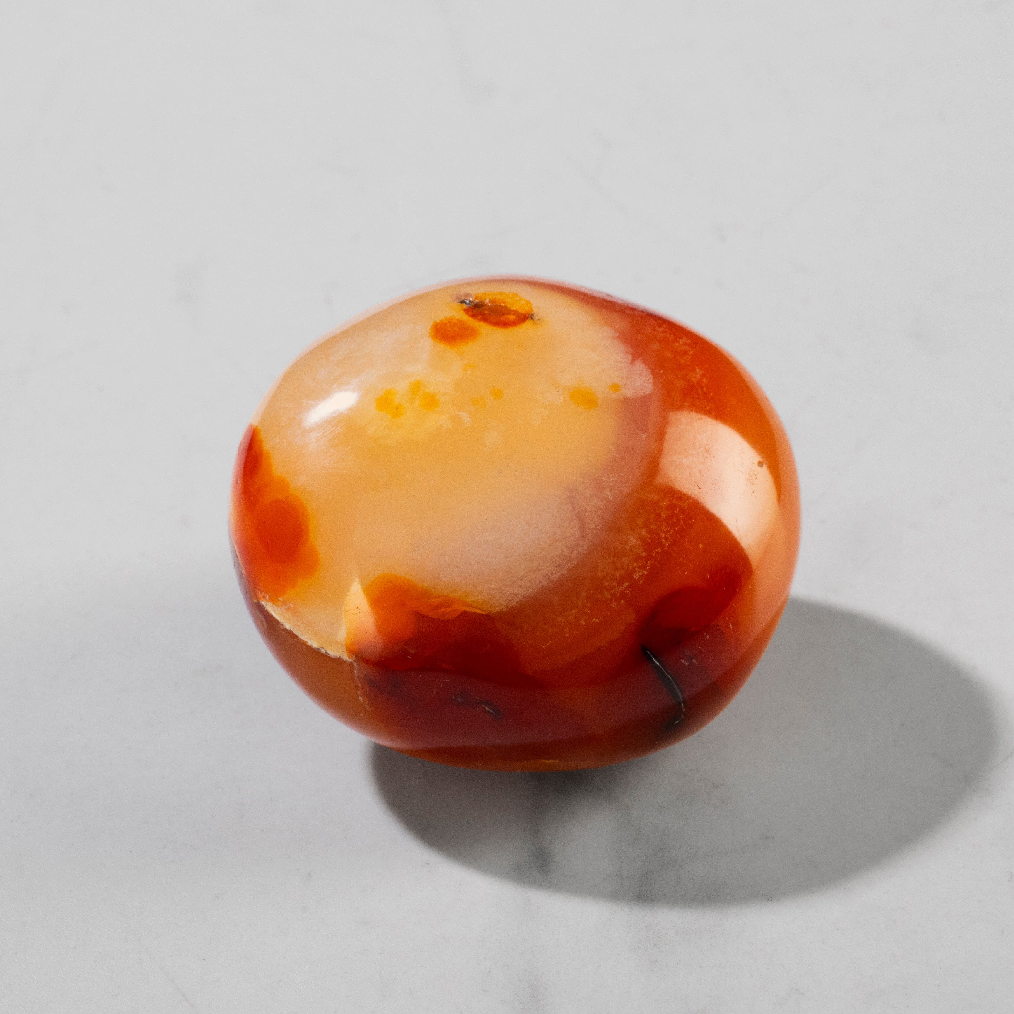 Kalifano Fossils & Minerals Carnelian Palm Stone CAR30