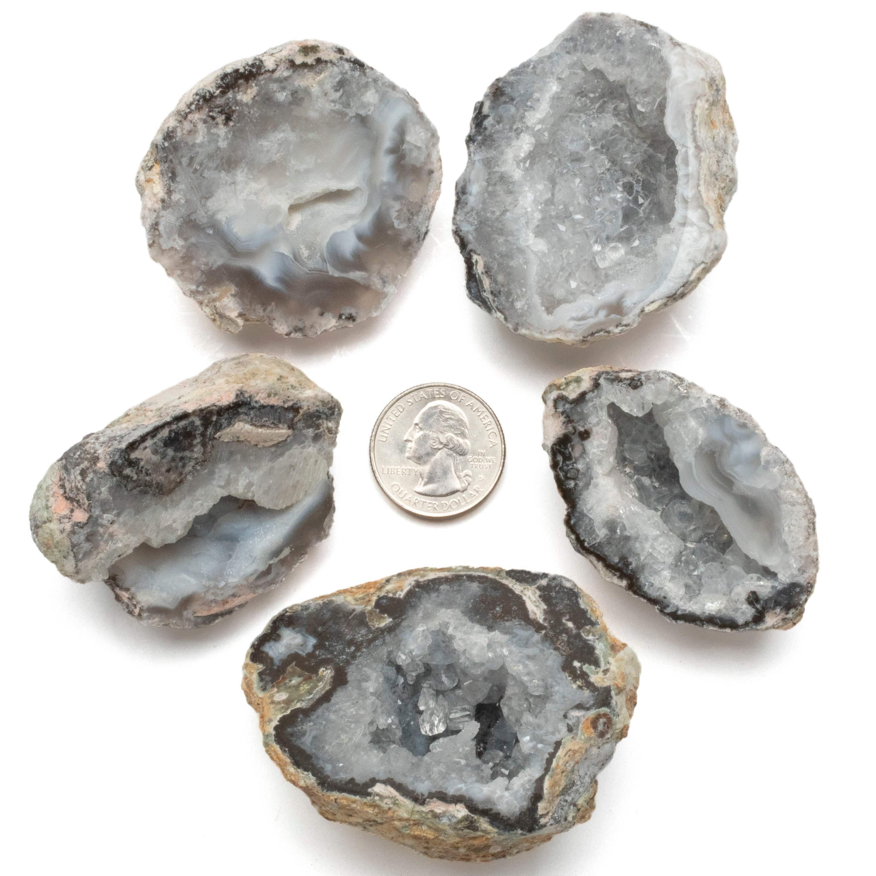 Kalifano Fossils & Minerals Cutbase Quartz Geode QGCB40