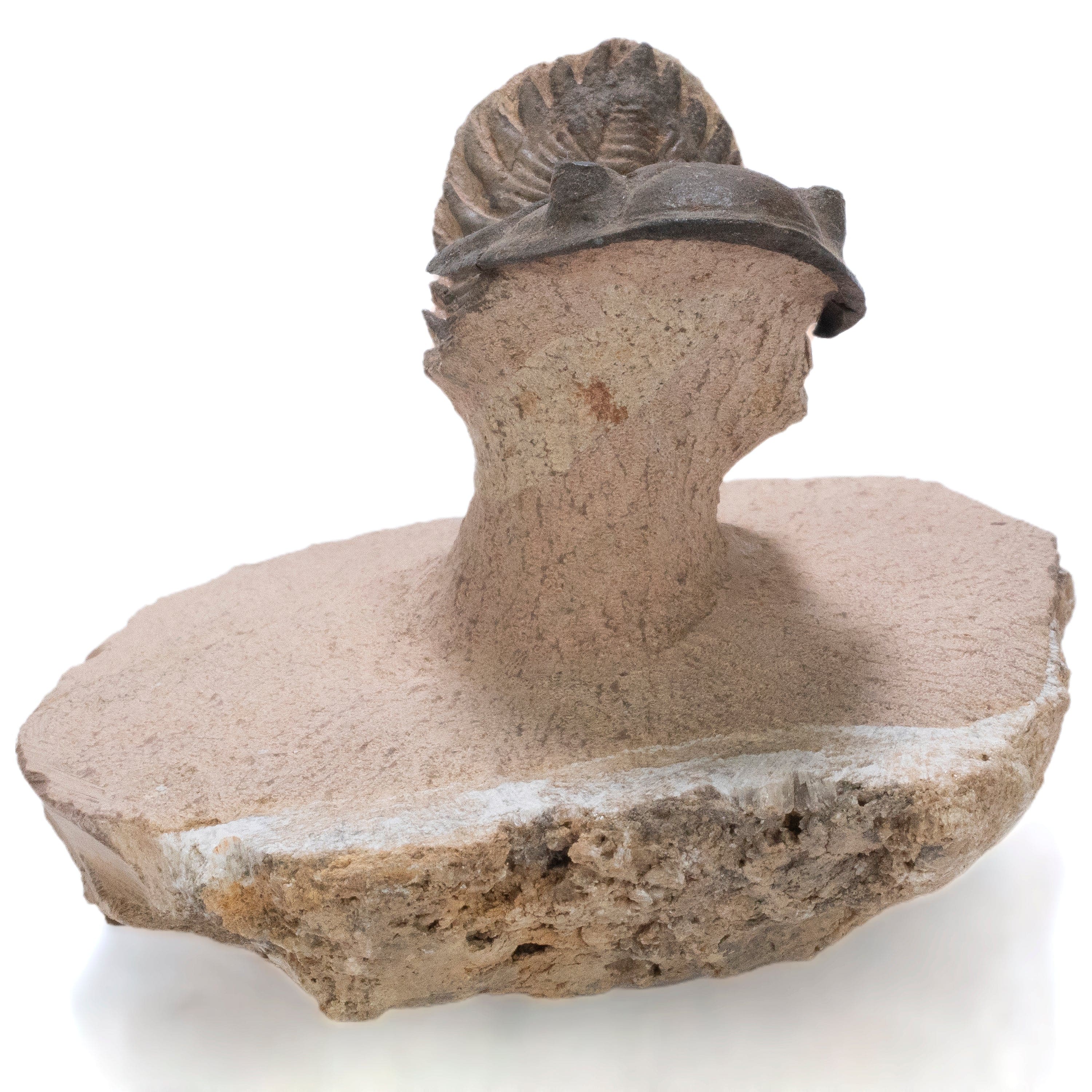 Kalifano Fossils & Minerals Metacanthina Issoumourensis Trilobite on Matrix from Atchana, Morocco - 1.8" TR3000.022