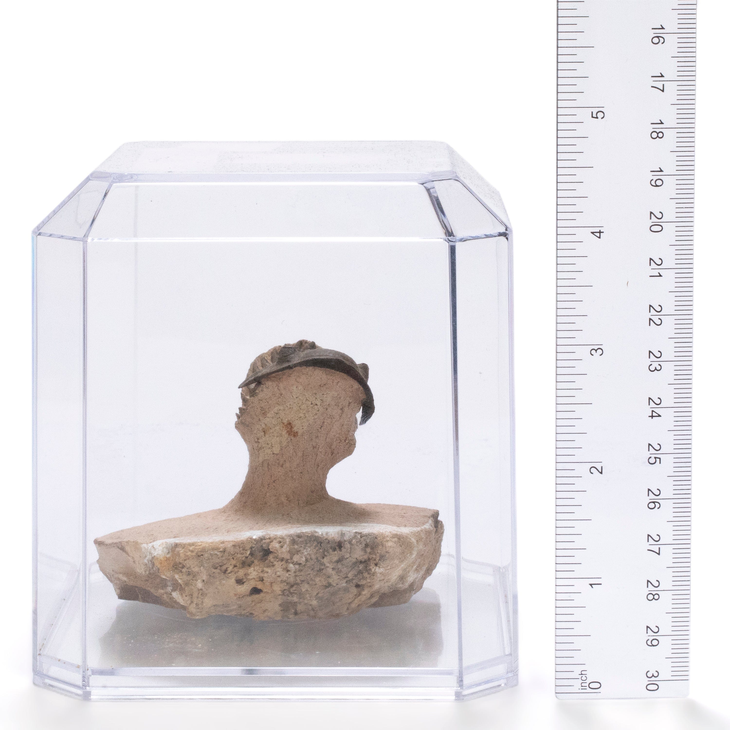 Kalifano Fossils & Minerals Metacanthina Issoumourensis Trilobite on Matrix from Atchana, Morocco - 1.8" TR3000.022