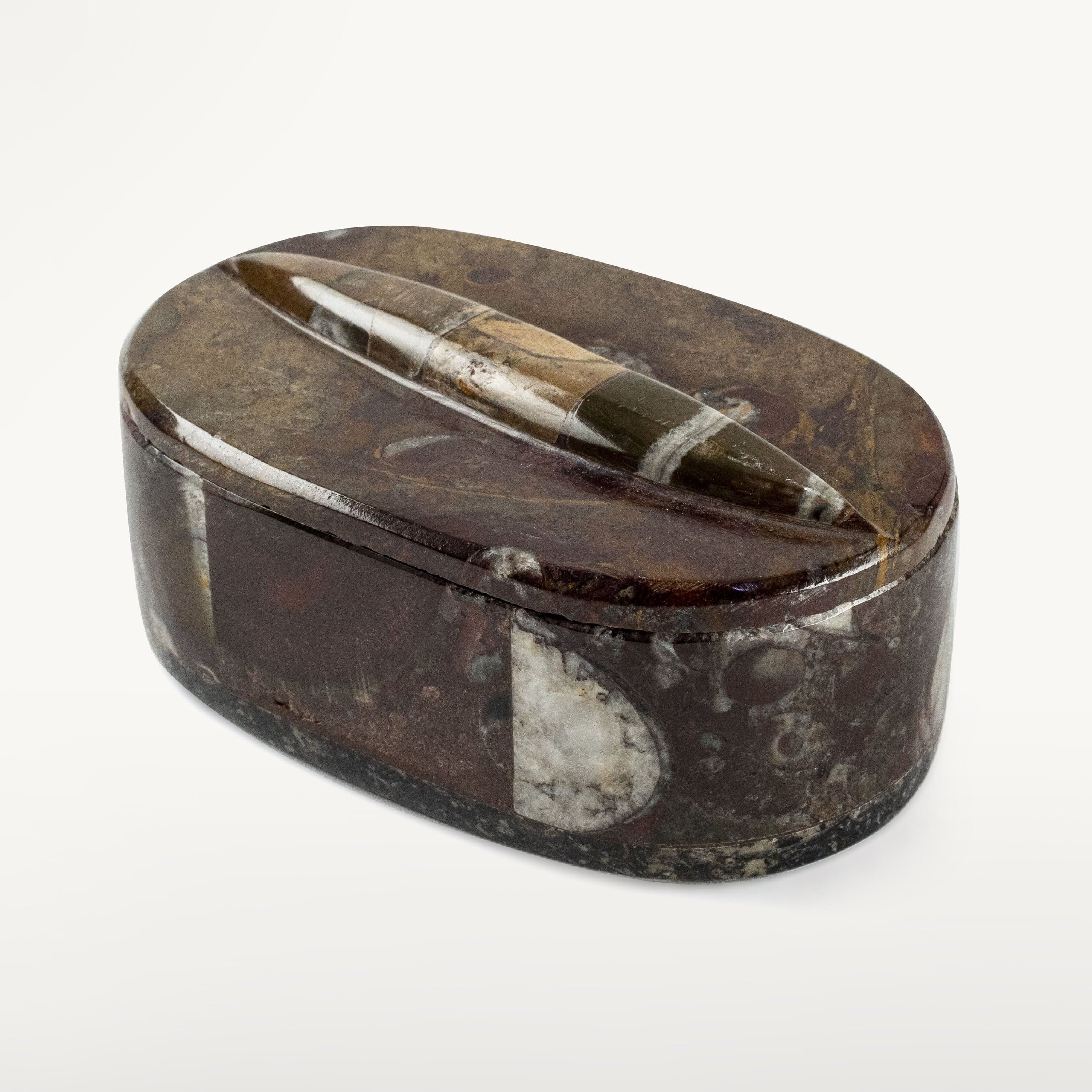 Kalifano Fossils & Minerals Moroccan Orthoceras Vanity Box SVA-ORO