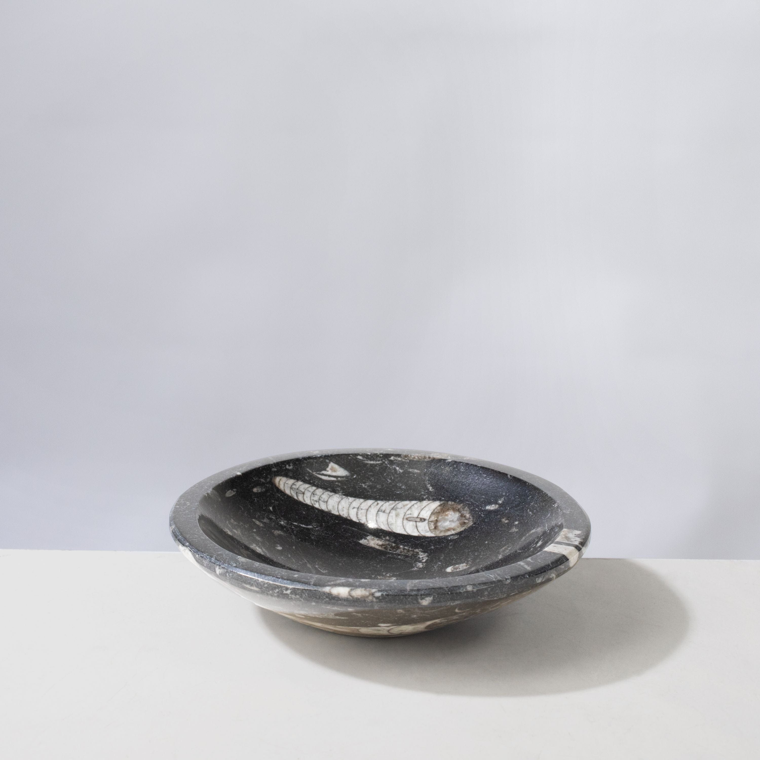 Kalifano Fossils & Minerals Natural Ammonite & Orthoceras Bowl from Morocco - 5" BORA120