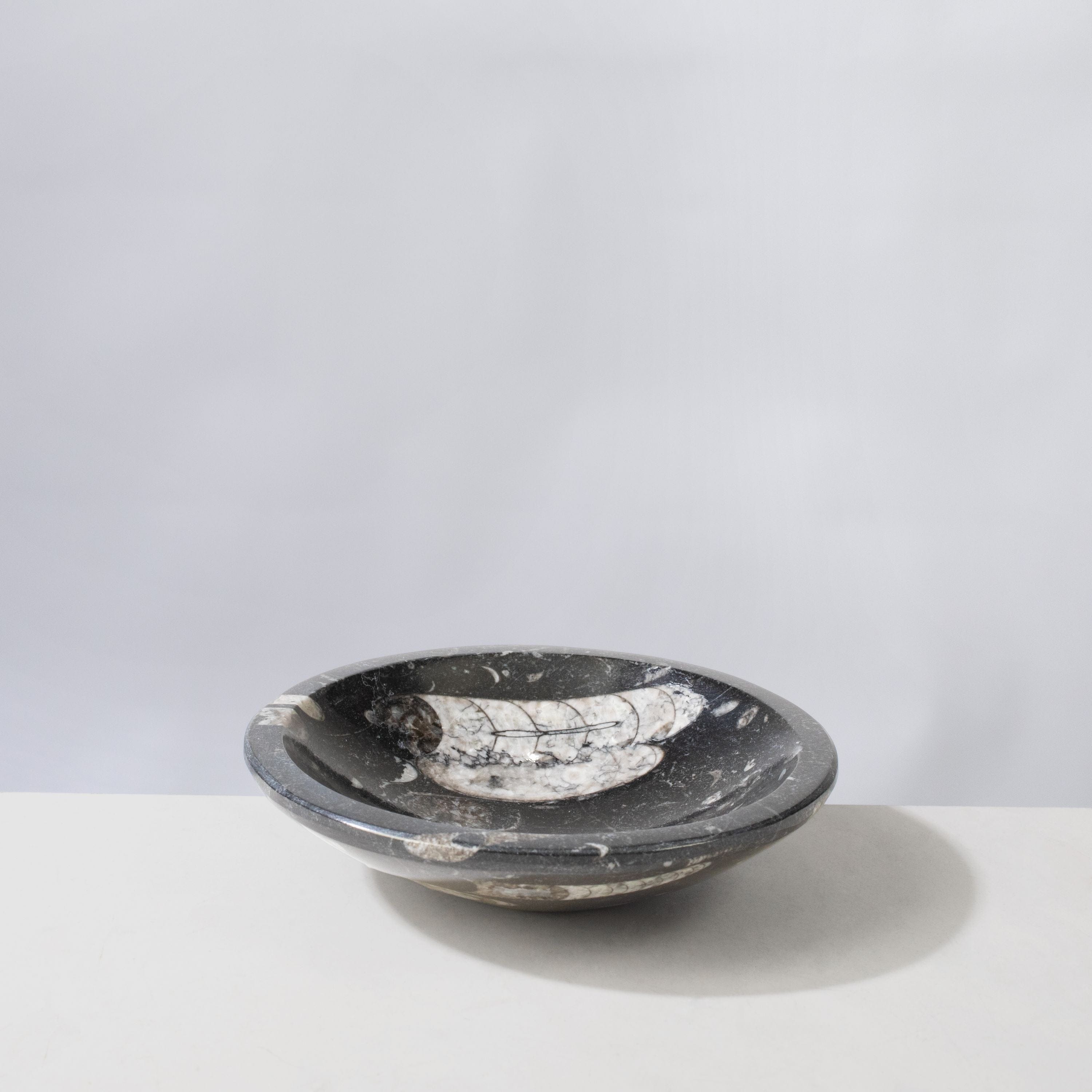 Kalifano Fossils & Minerals Natural Ammonite & Orthoceras Bowl from Morocco - 5" BORA120