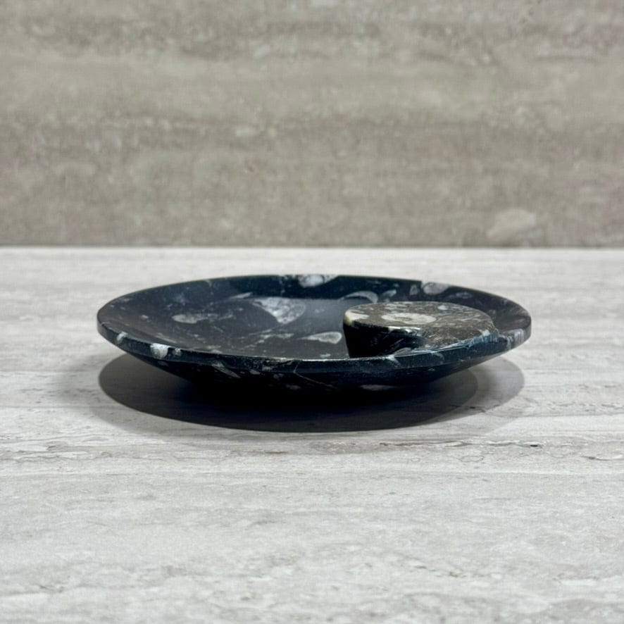Kalifano Fossils & Minerals Natural Ammonite & Orthoceras Bowl from Morocco - 6.25" BORA180