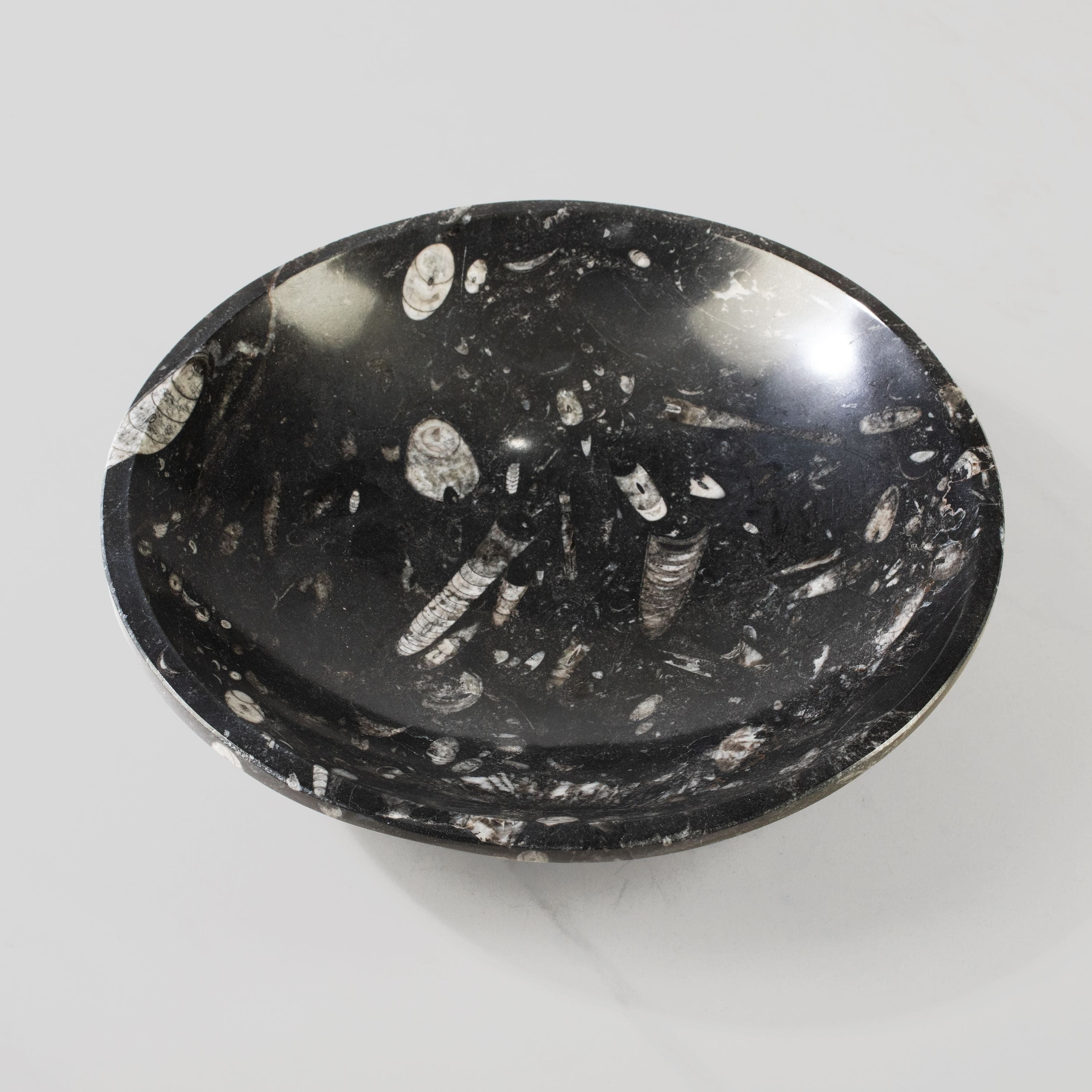 Kalifano Fossils & Minerals Natural Black Orthoceras Bowl from Morocco - 10" BORO400
