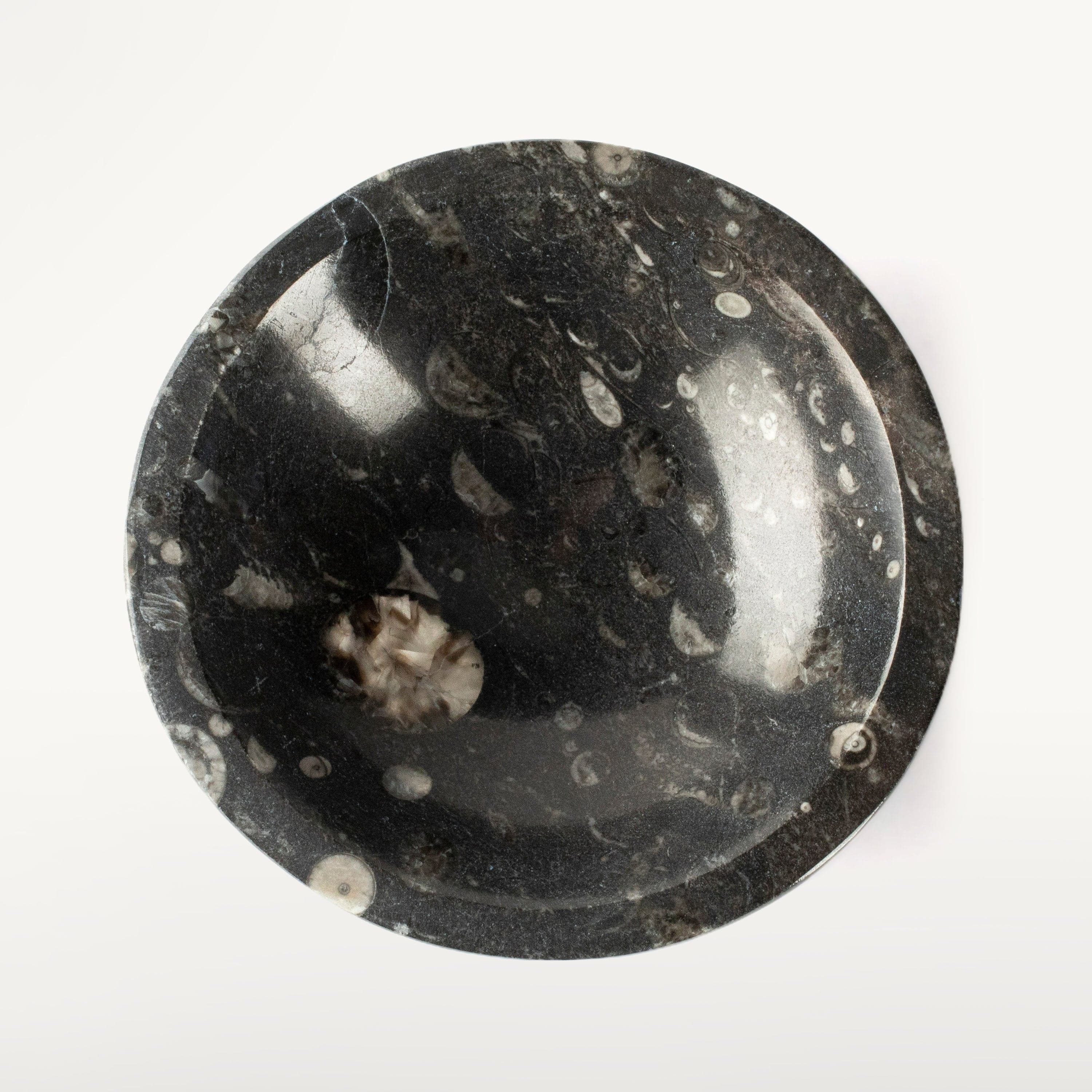 Kalifano Fossils & Minerals Natural Black Orthoceras Bowl from Morocco- 5" BORO100