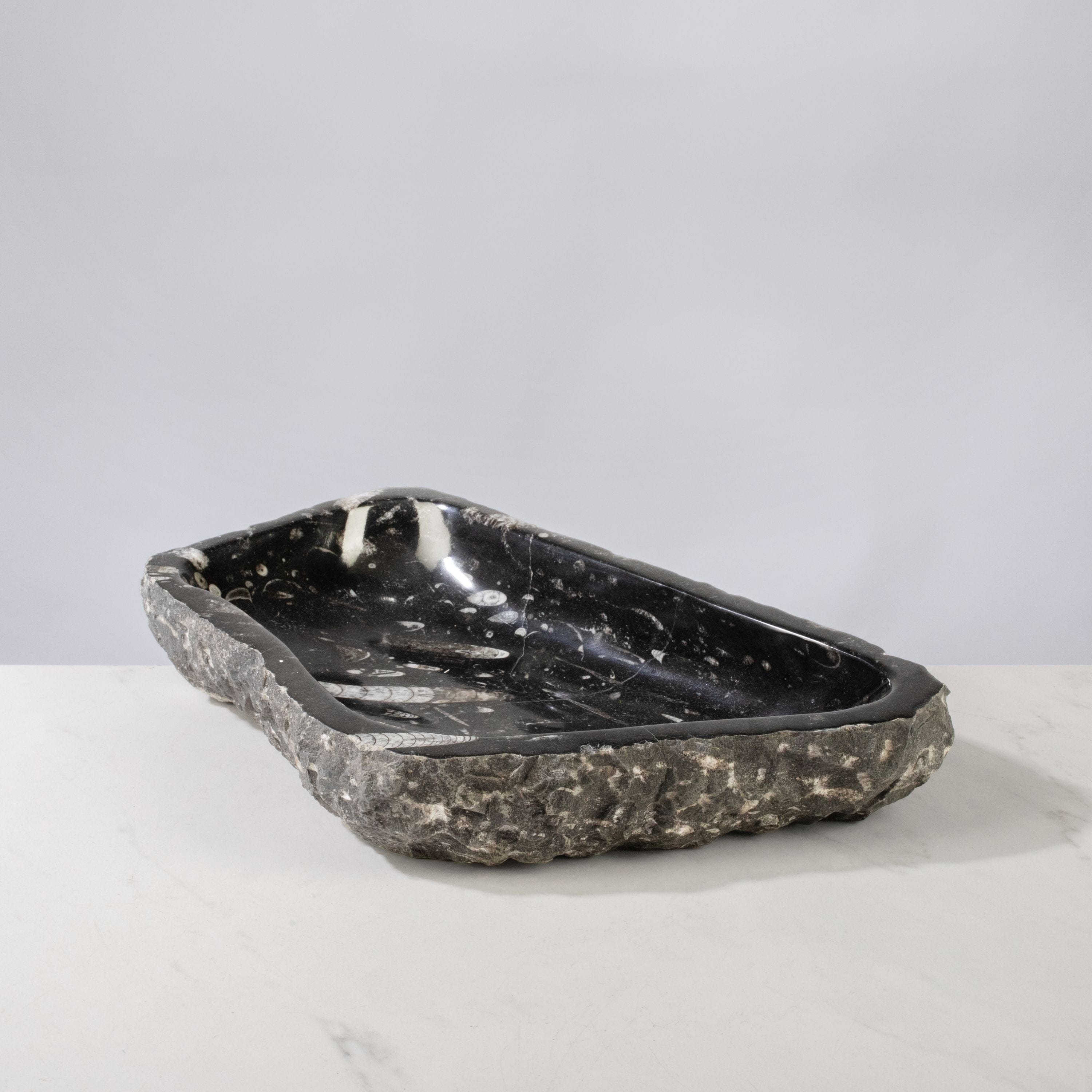 Kalifano Fossils & Minerals Orthoceras Bowl from Morocco - 12" / 8.6 lbs BORO1600.002