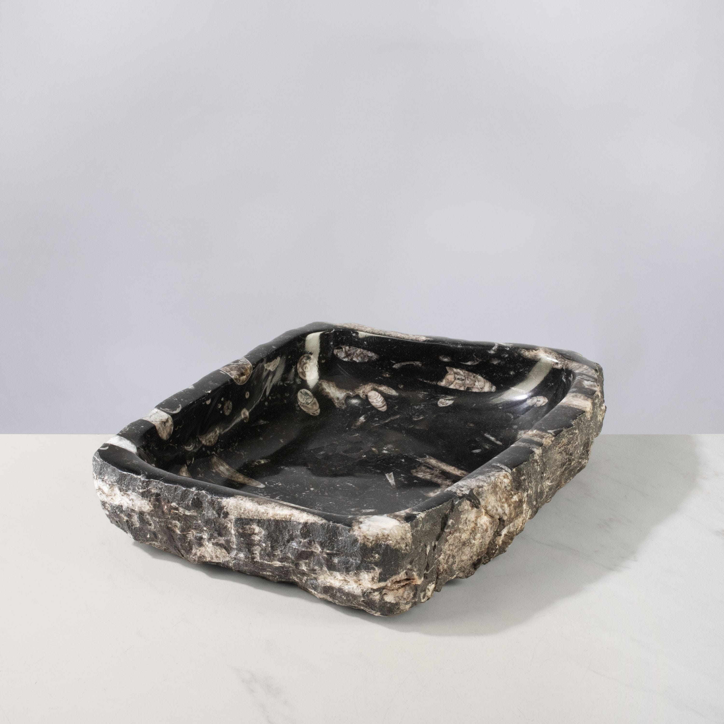 Kalifano Fossils & Minerals Orthoceras Bowl from Morocco - 12" / 9.5 lbs BORO1600.001