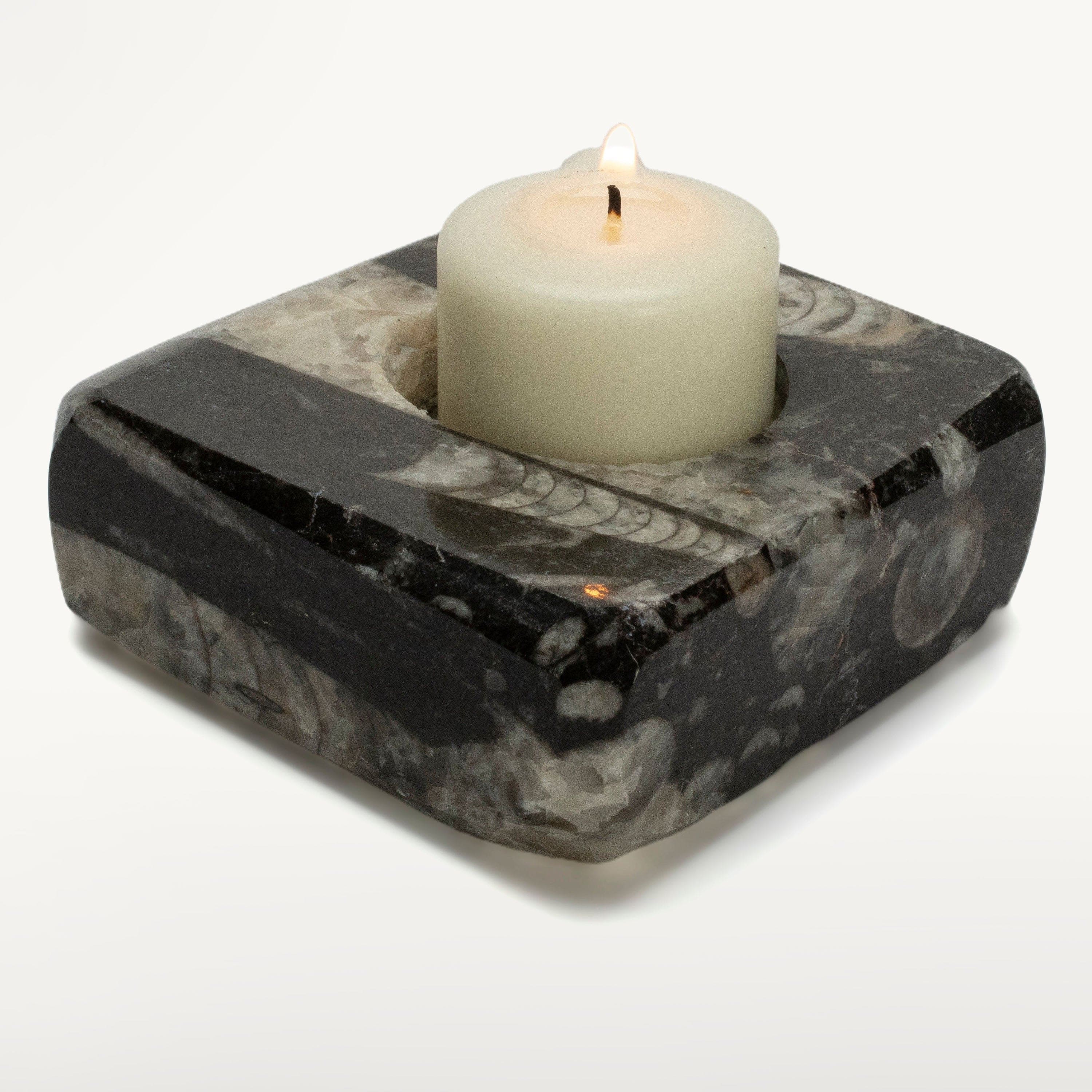 Kalifano Fossils & Minerals Orthoceras Candle Holder from Morocco ORCH80
