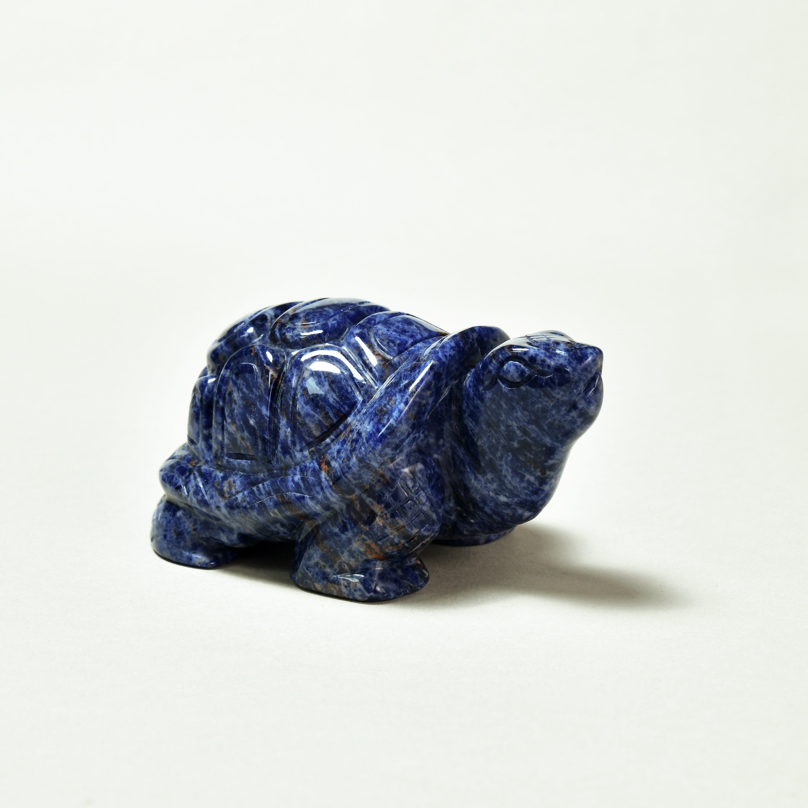 KALIFANO Gemstone Carvings 4" Sodalite Turtle Natural Gemstone Carving CV140-T-SD