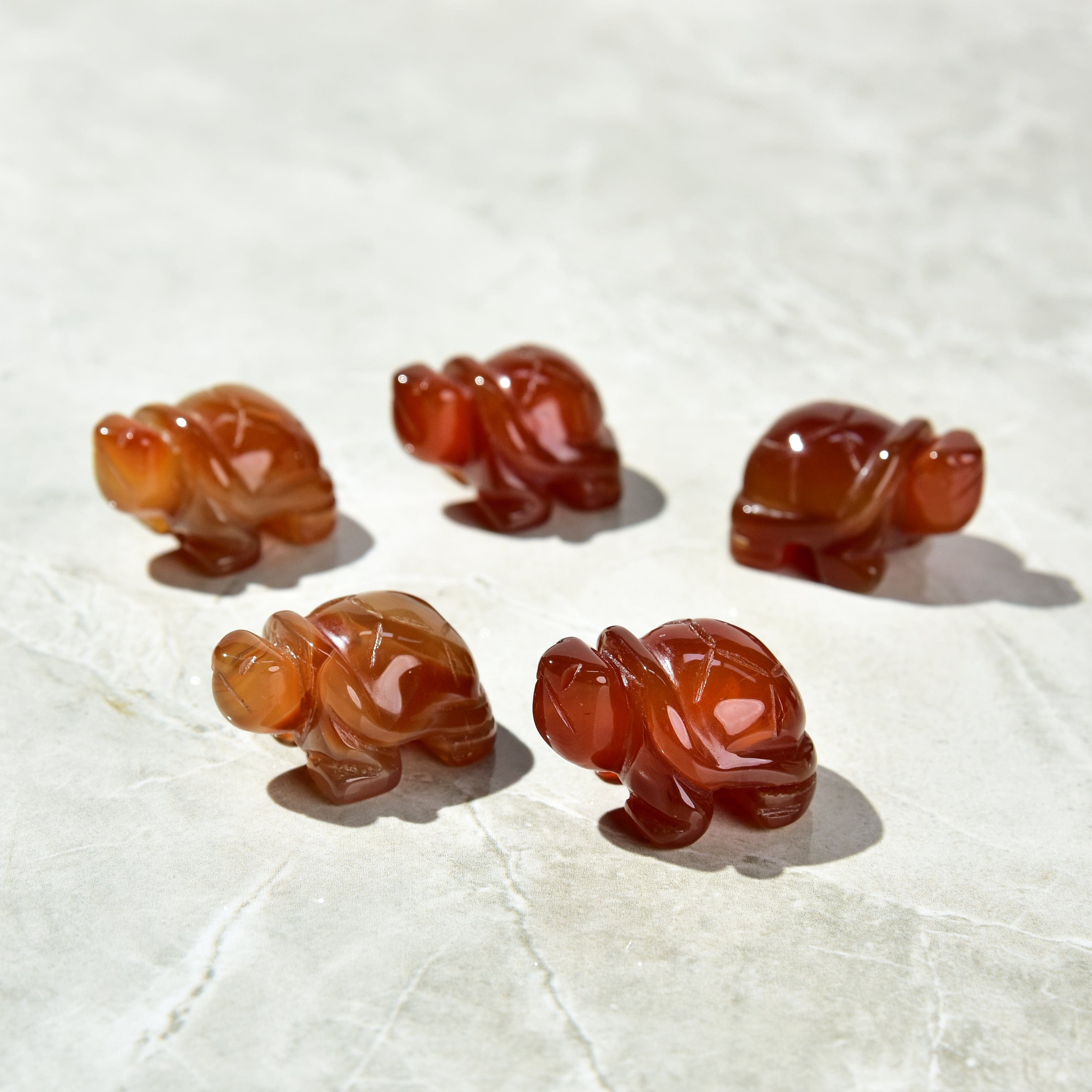 Kalifano Gemstone Carvings Carnelian Turtle 1.5'' Natural Gemstone Carving CV13-T-CR