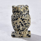 Dalmatian Jasper Owl 2'' Natural Gemstone Carving