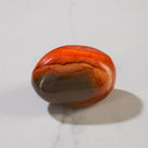 Desert Jasper / Polychrome Palm Stone