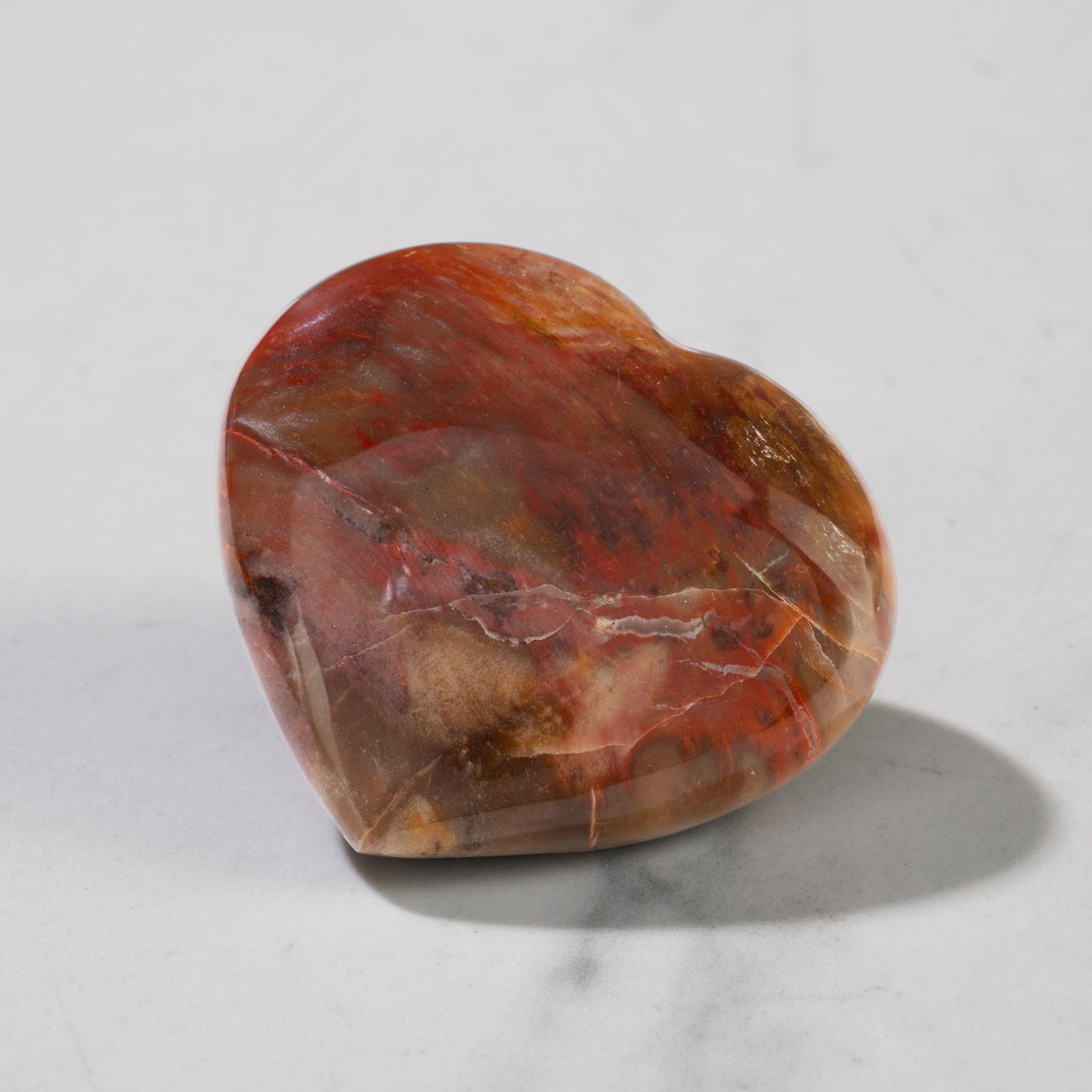 Petrified Wood Heart Carving