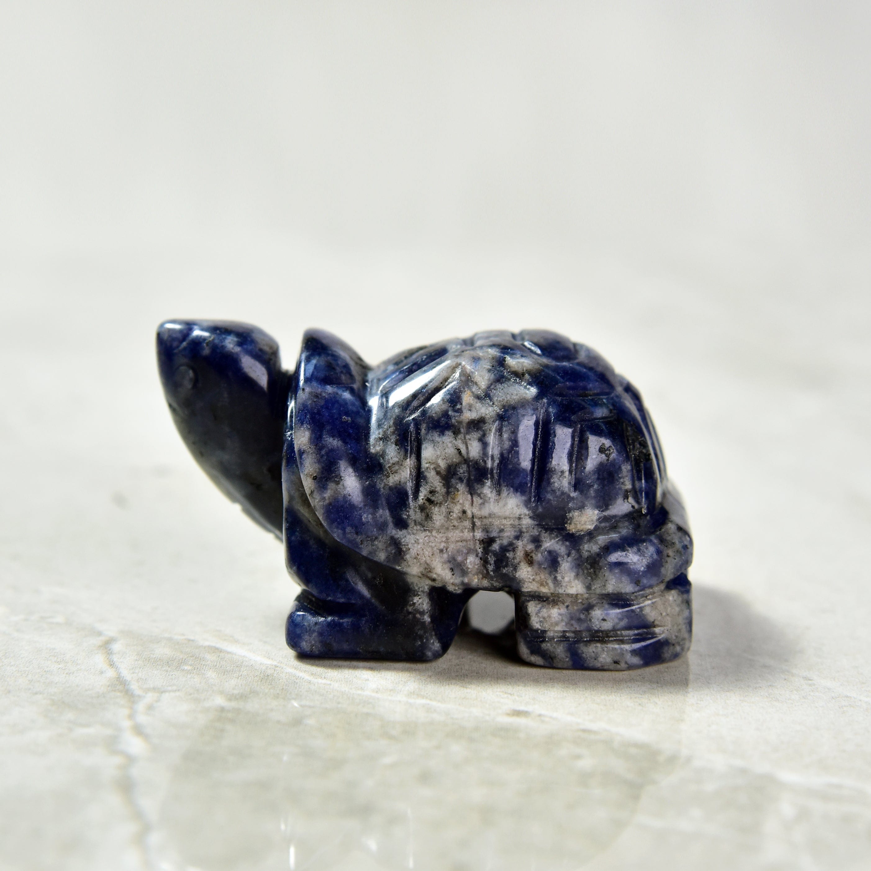 Kalifano Gemstone Carvings Sodalite Turtle 2'' Natural Gemstone Carving CV14-T-SD