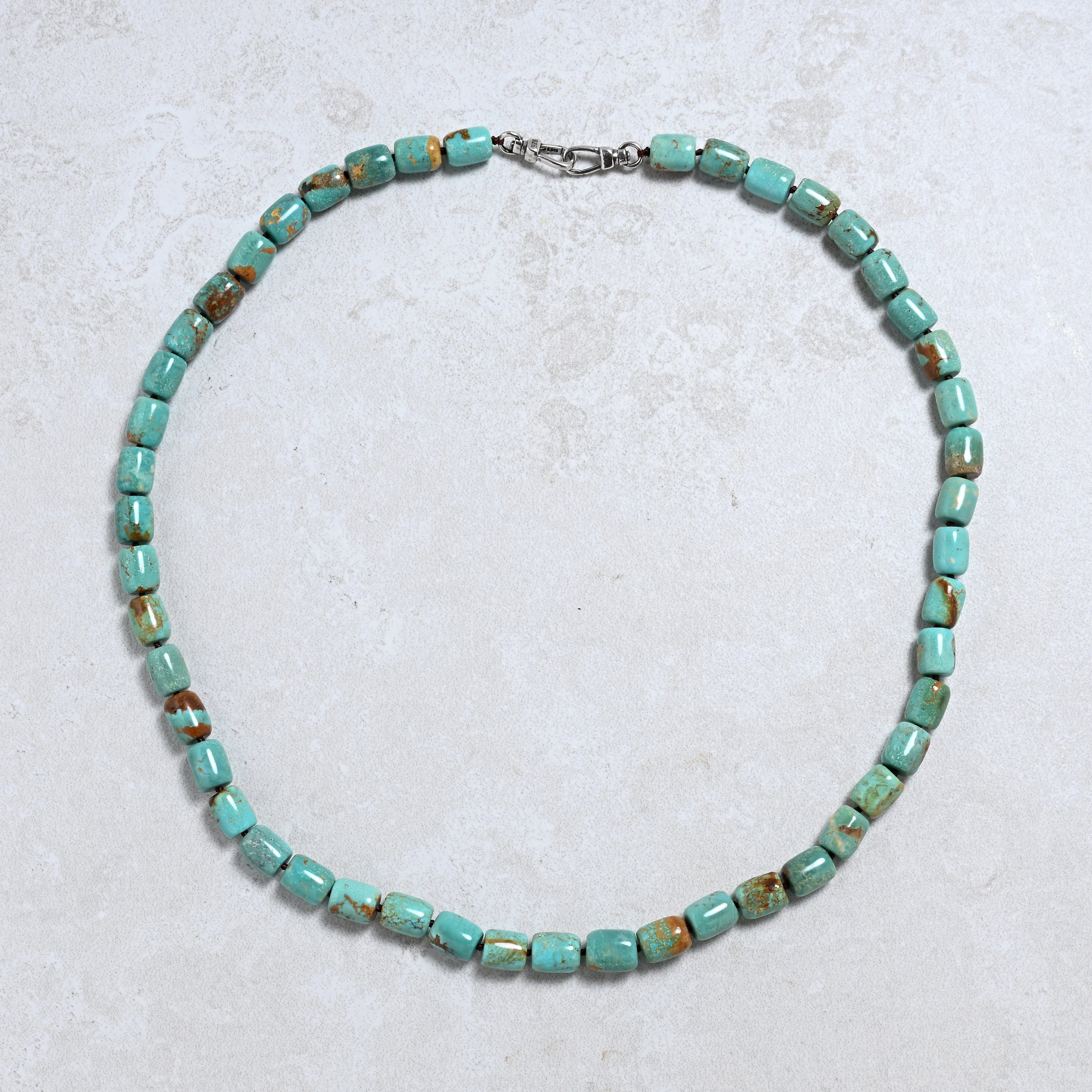 KALIFANO Gemstone Jewelry 22" Turquoise Gemstone Necklace with Sterling Silver Clasp 925N-25-TQ2