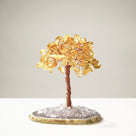 Citrine Natural Gemstone Tree of Life with Agate Base