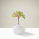 Peridot Natural Gemstone Tree of Life with Quartz Base