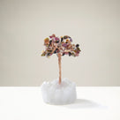Tourmaline Natural Gemstone Tree of Life with Quartz Base