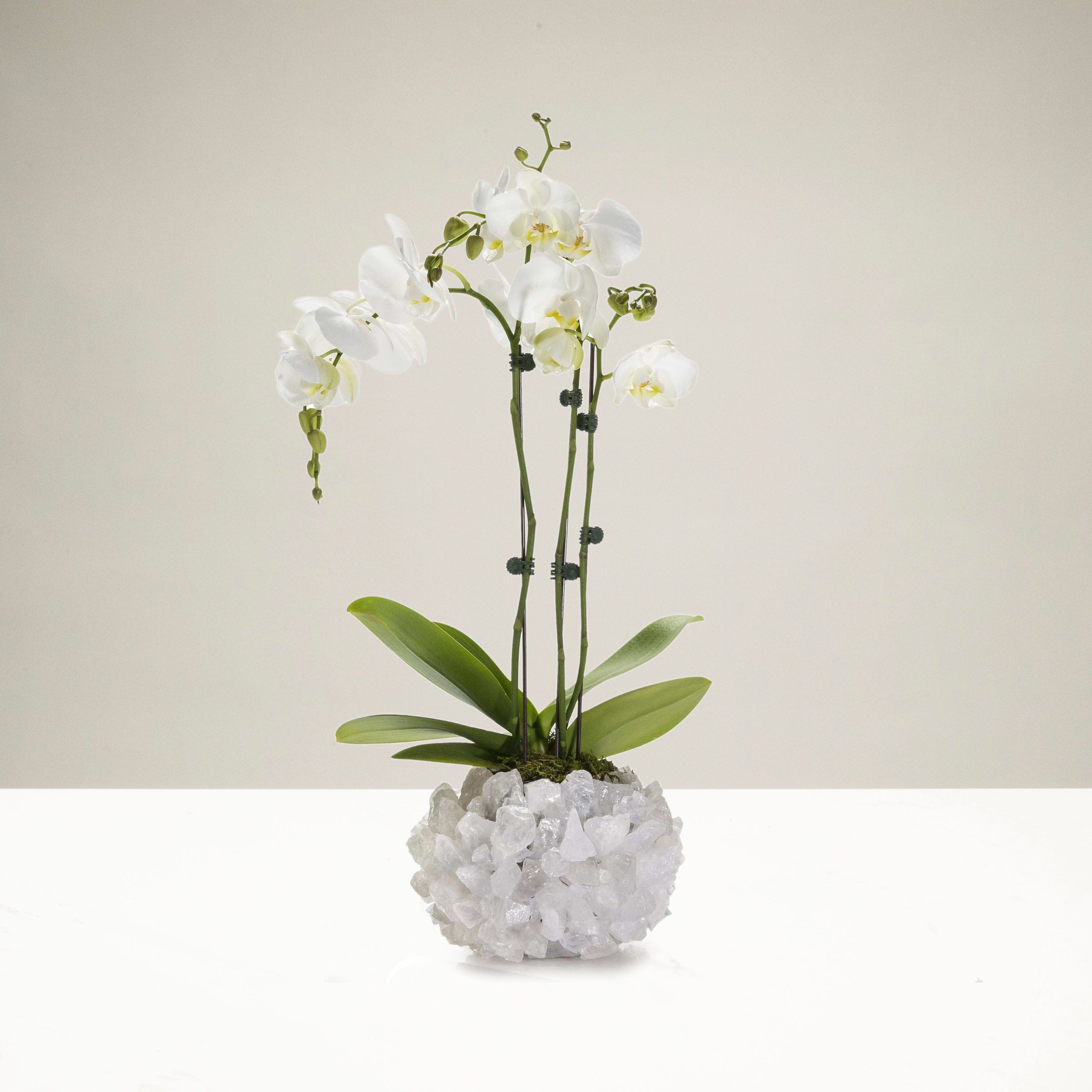 Kalifano Gemstone Vases Clear Quartz Gemstone Vase GVM-QZ