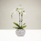 Clear Quartz Gemstone Vase