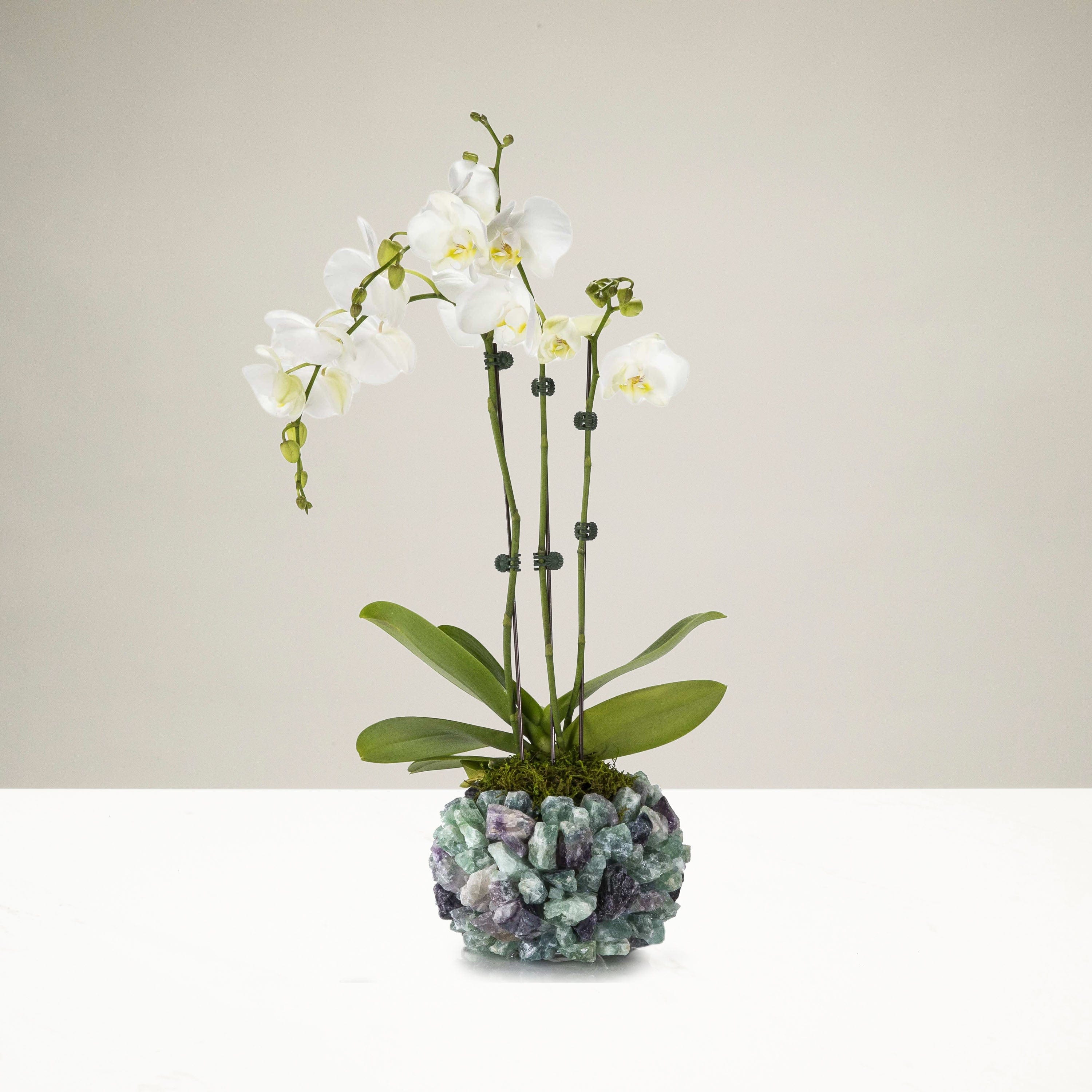 Kalifano Gemstone Vases Fluorite Gemstone Vase GVM-FL